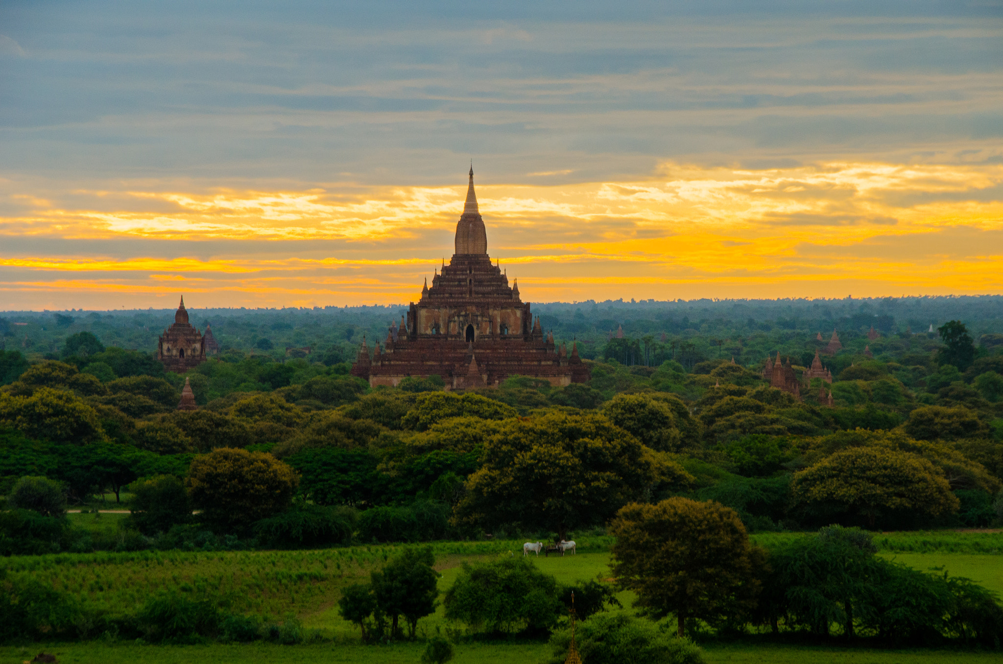 Sigma 18-250mm F3.5-6.3 DC Macro OS HSM sample photo. Bagan10 photography