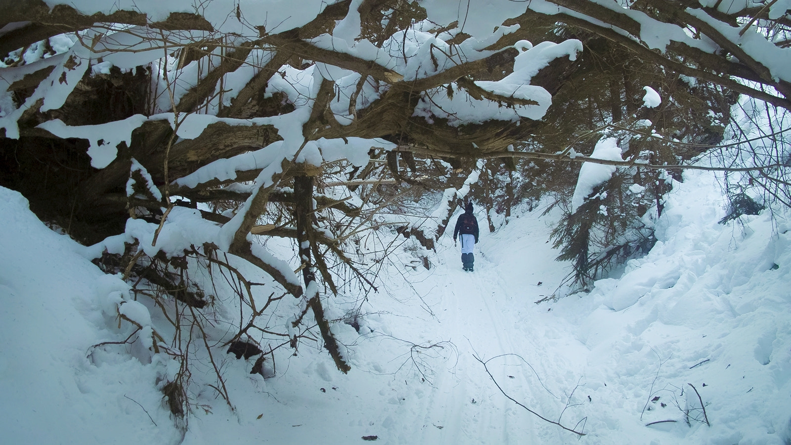 Sigma SD15 sample photo. Winter hiking 2 photography