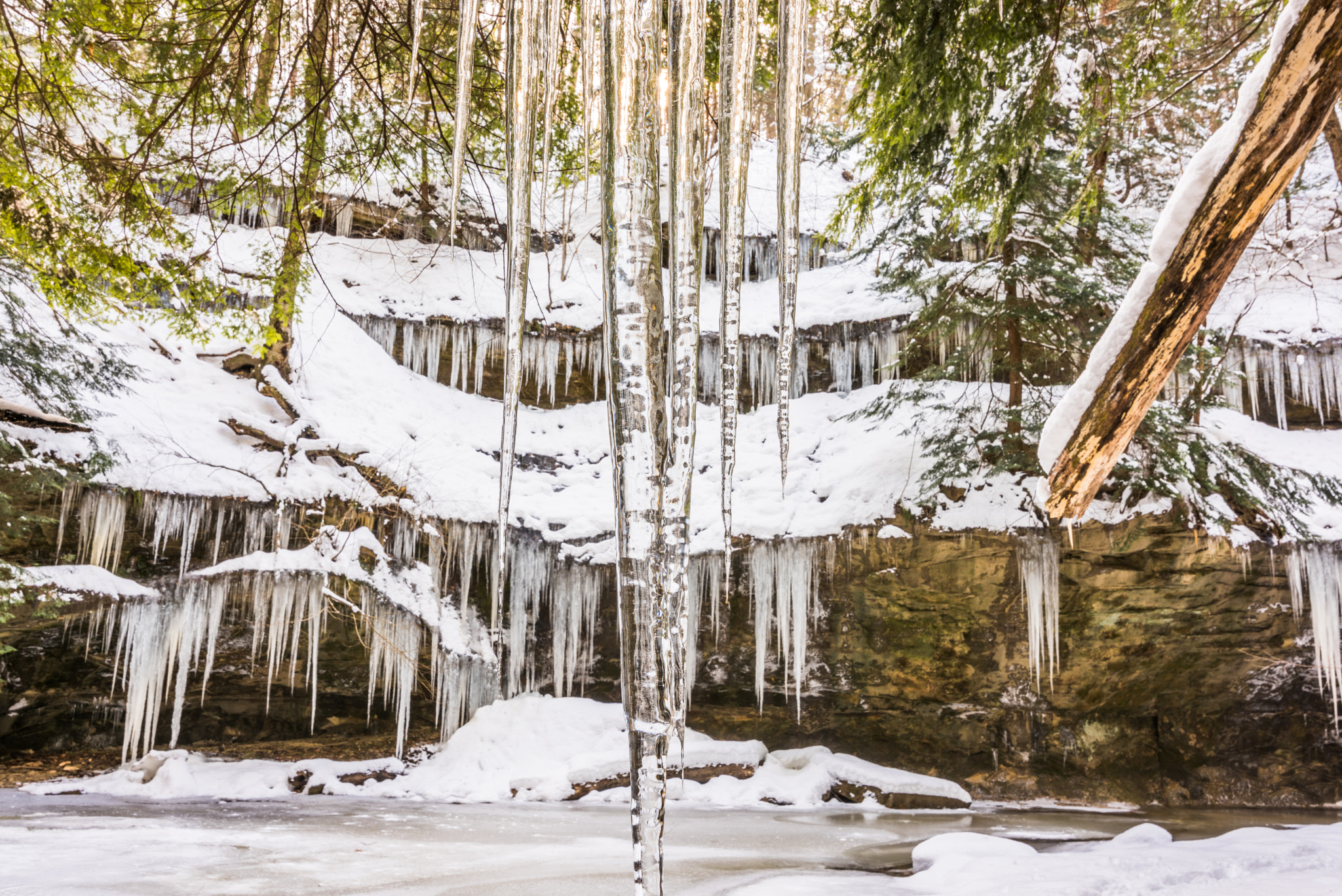 Nikon D810 sample photo. Ohio icicles photography