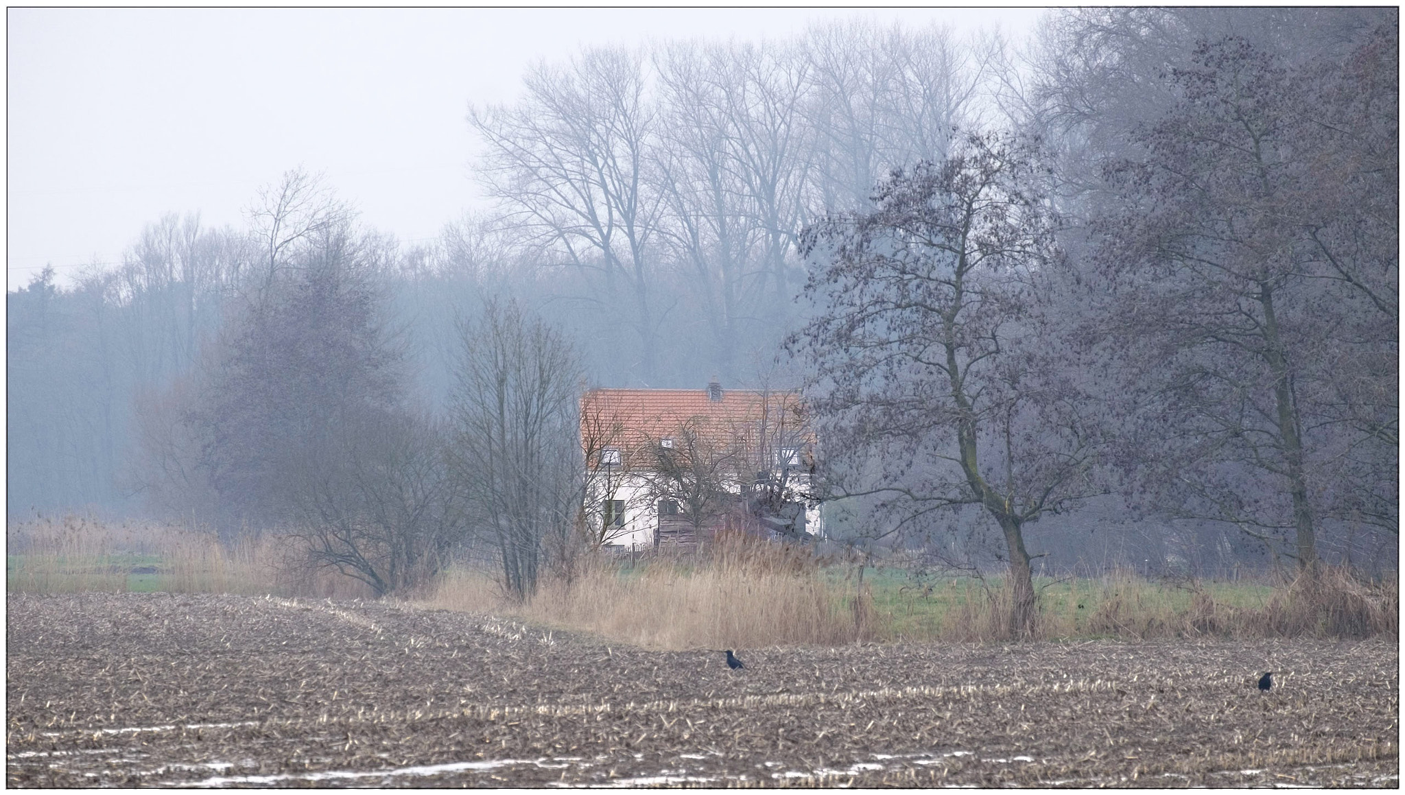 Fujifilm X-T1 + Fujifilm XC 50-230mm F4.5-6.7 OIS II sample photo. Cottage in the mist photography