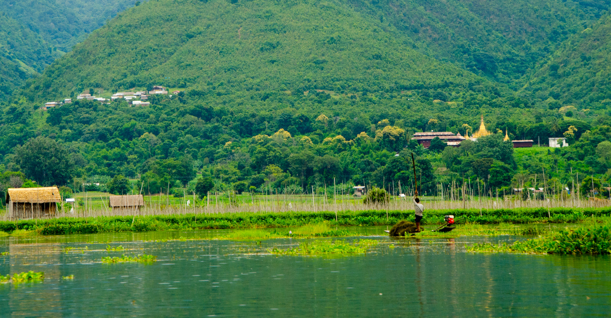 Sigma 18-250mm F3.5-6.3 DC Macro OS HSM sample photo. Lotus people photography