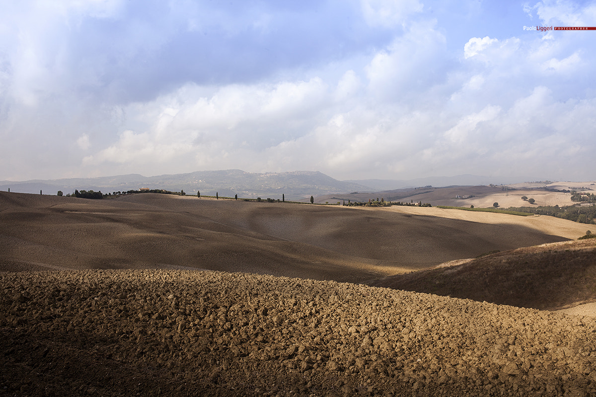 Canon EOS 5D Mark II + Canon EF 35mm F2 sample photo. Earth colors #4 photography