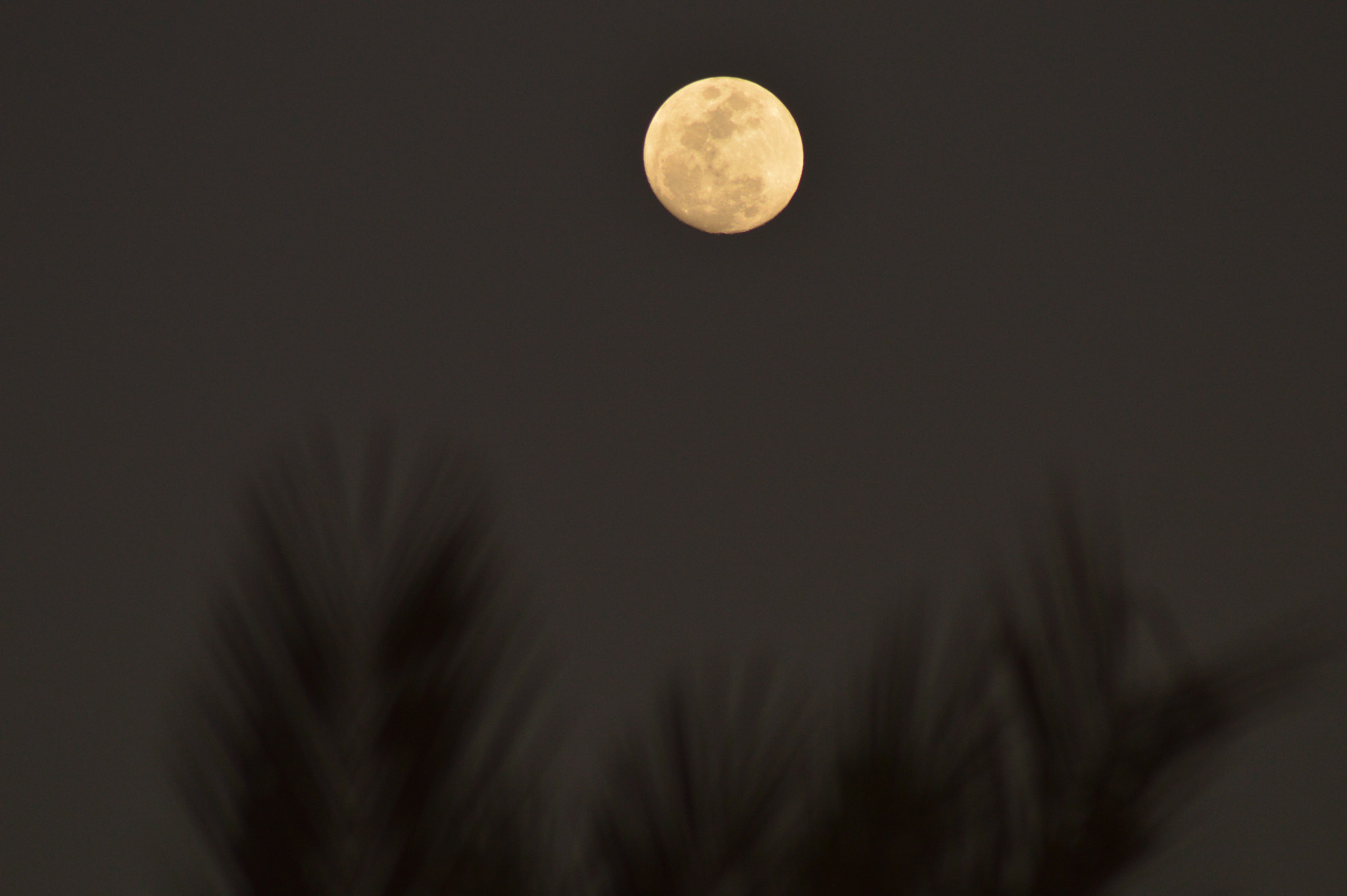 Nikon AF Nikkor 70-300mm F4-5.6G sample photo. Good evening, full moon photography