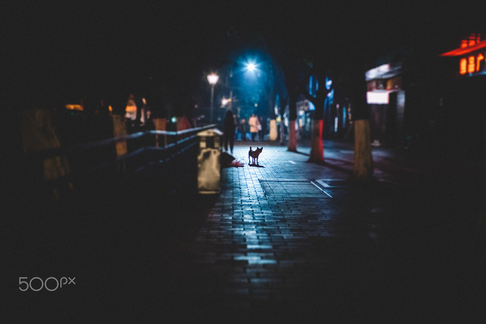 Pentax K-1 sample photo. Street 860# photography