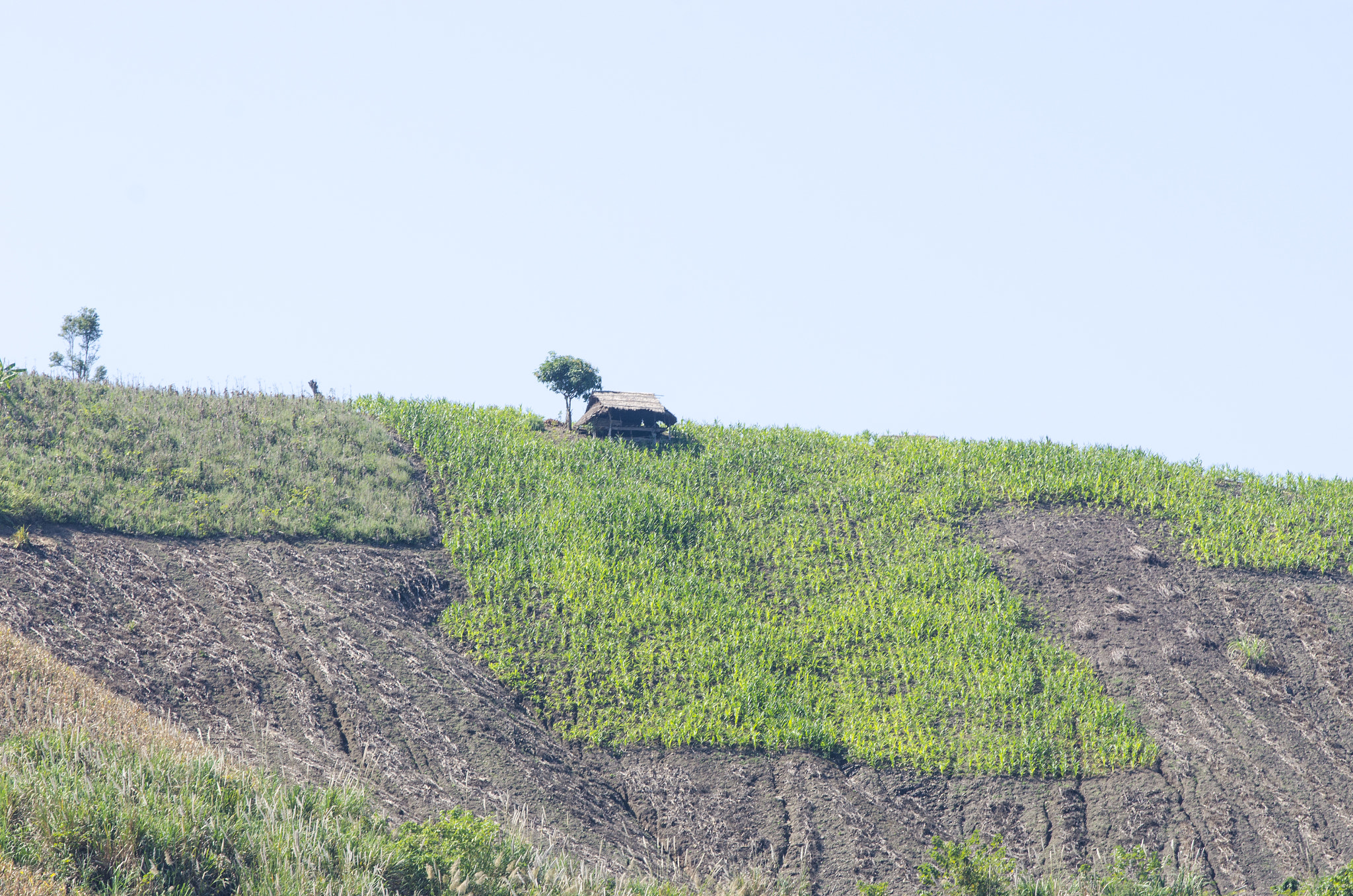 AF-S Zoom-Nikkor 80-200mm f/2.8D IF-ED sample photo. Dsc photography