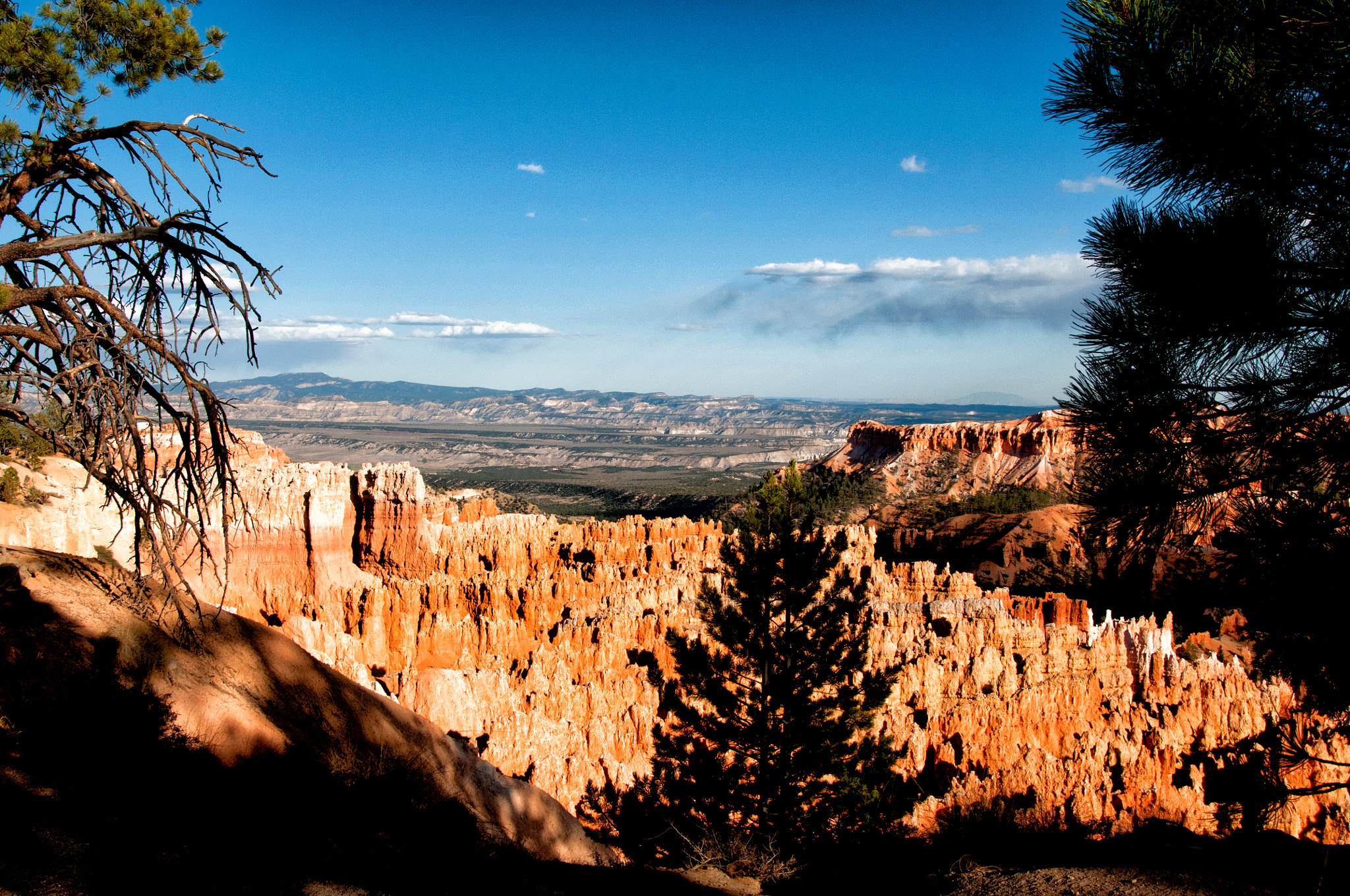 Nikon D300 sample photo. Bryce 2 photography
