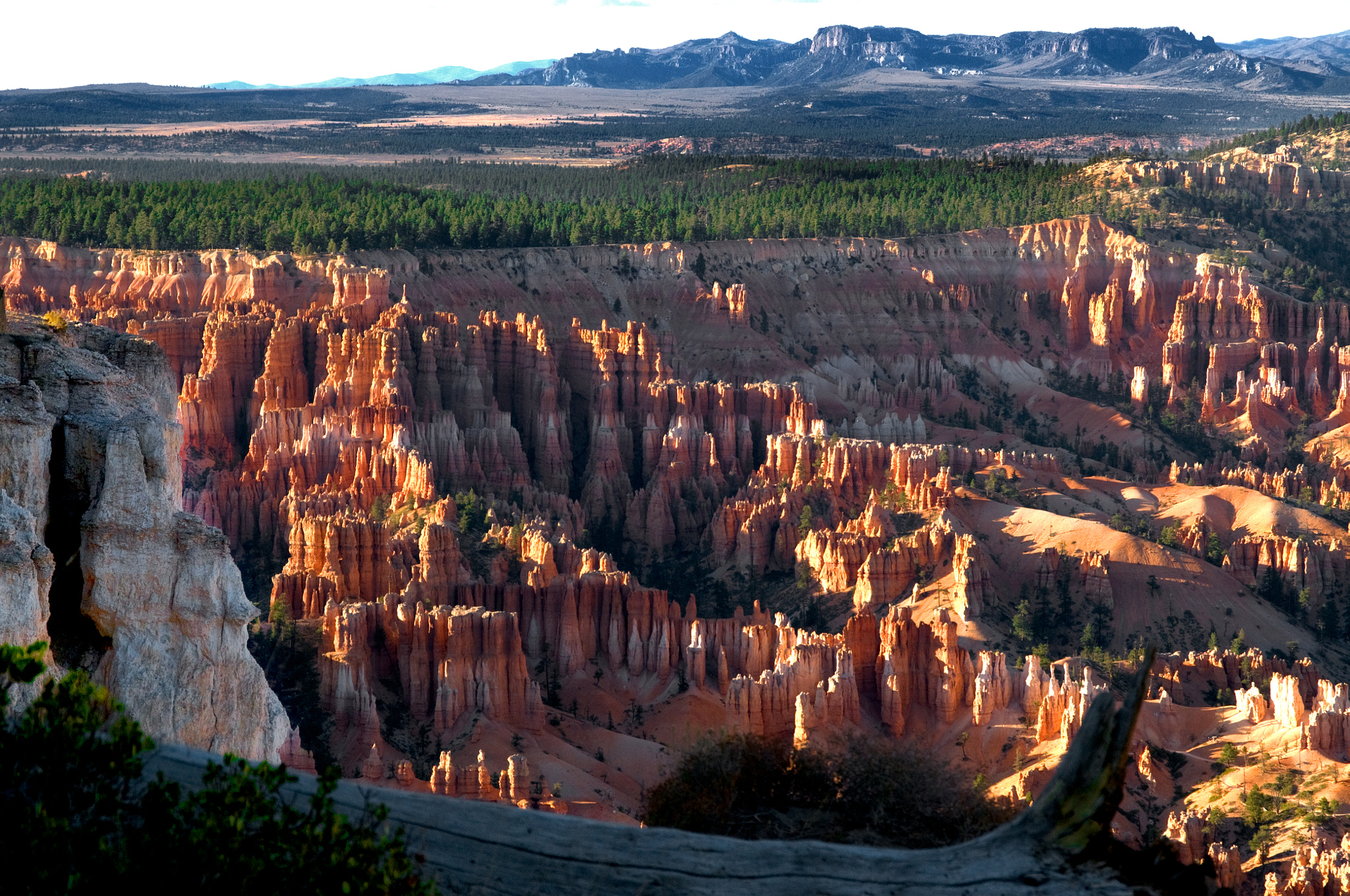 Nikon D300 sample photo. Bryce 3 photography