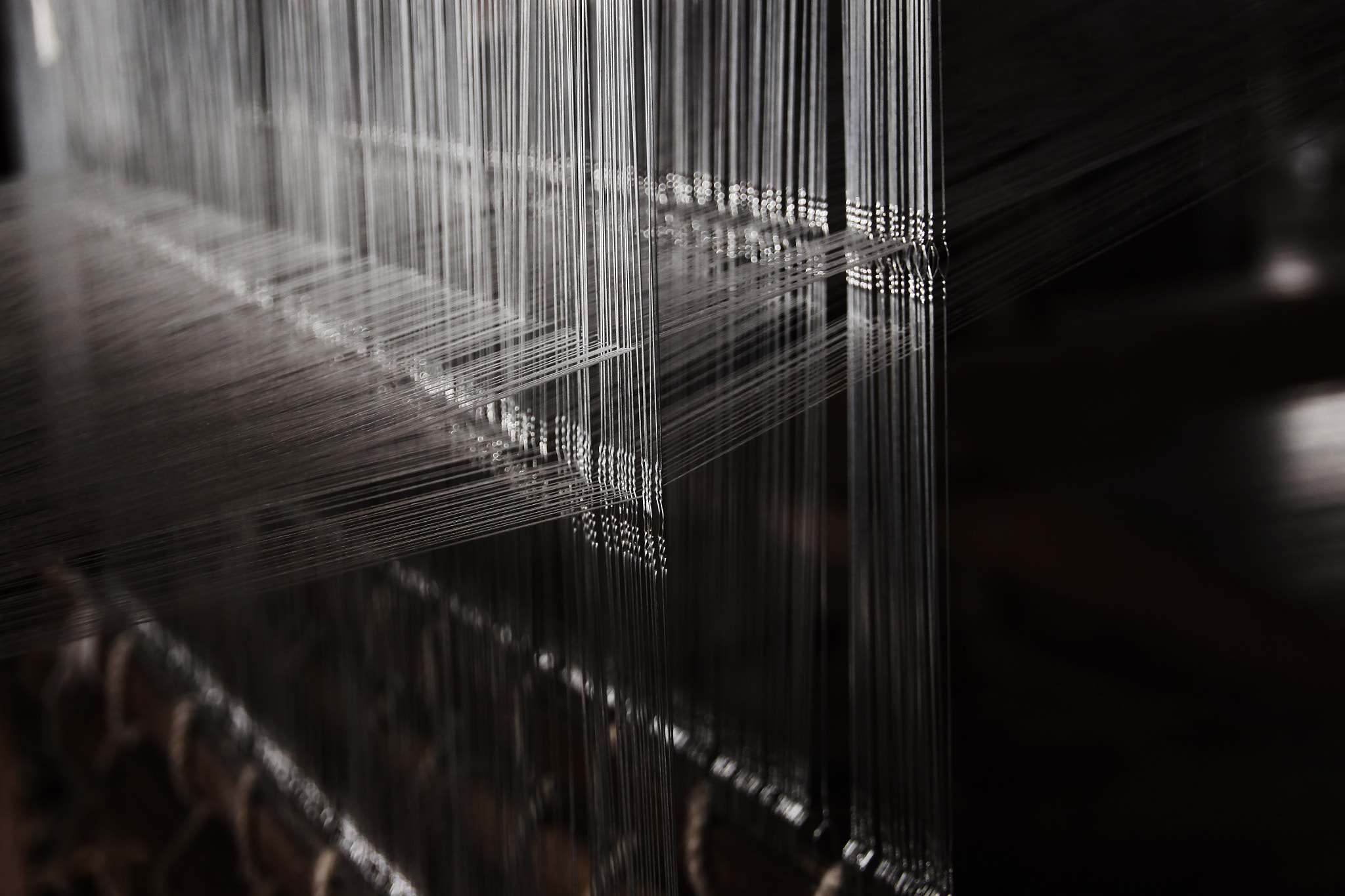 Sigma 18-250mm F3.5-6.3 DC OS HSM sample photo. Weaving photography