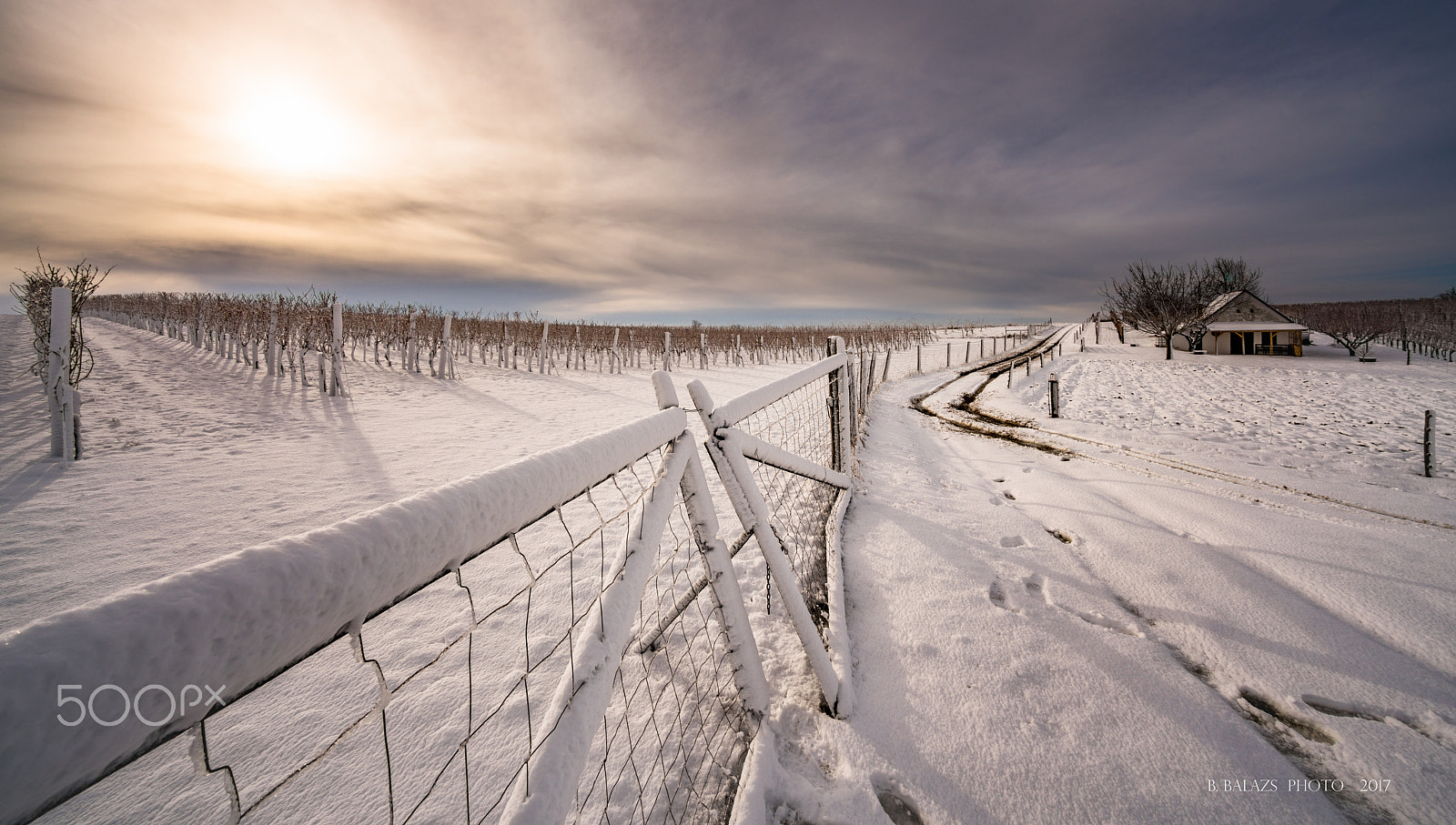 Sony a7R II + Voigtlander HELIAR-HYPER WIDE 10mm F5.6 sample photo. Winter photography