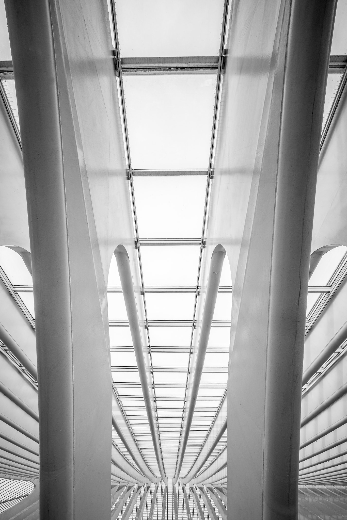 Sony a7 II + Canon EF 40mm F2.8 STM sample photo. Columns photography
