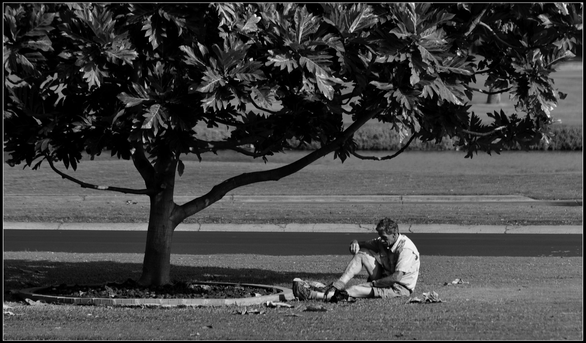 Nikon AF Nikkor 70-300mm F4-5.6G sample photo. Under the tree photography