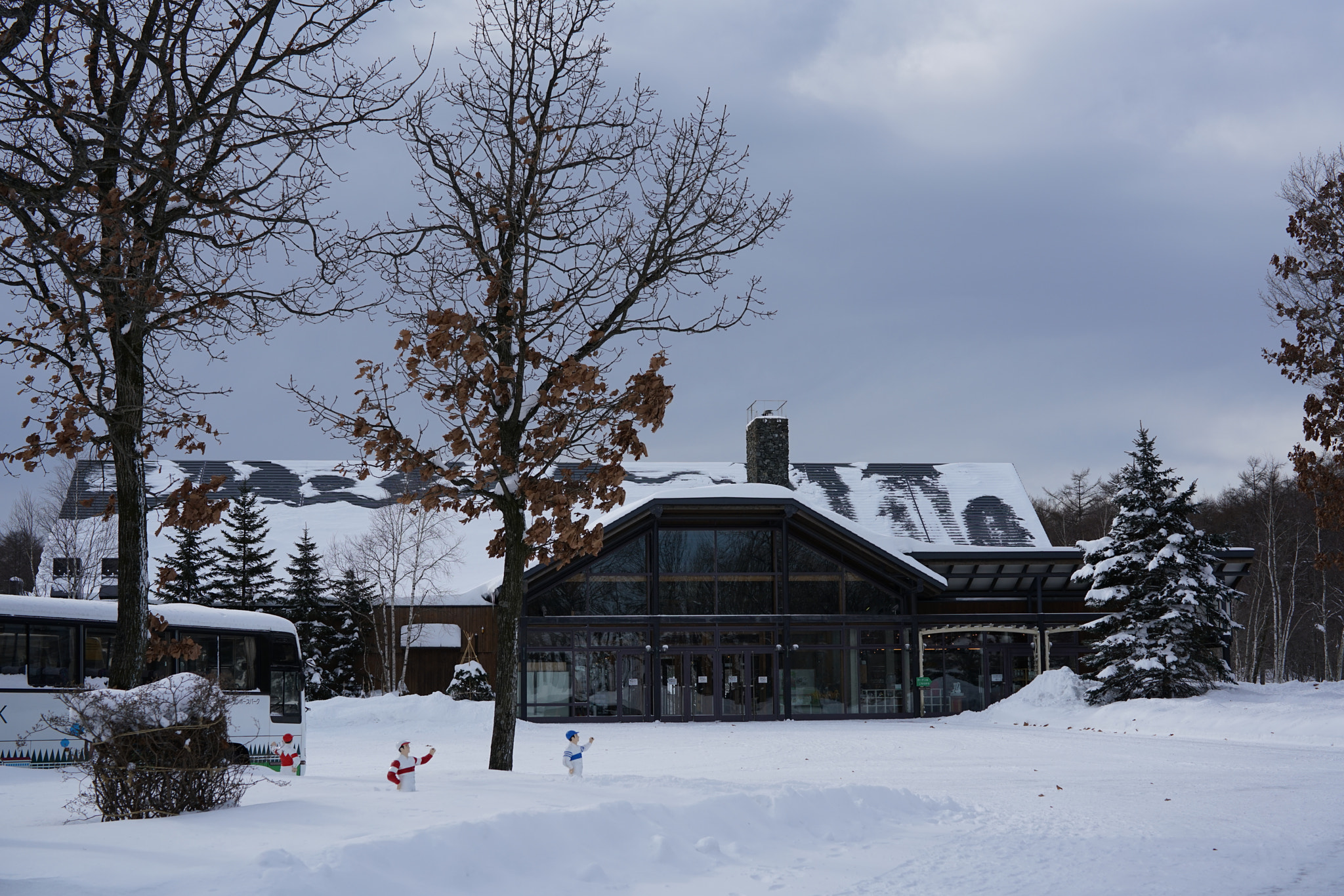 Sony a7R II + Sony Planar T* FE 50mm F1.4 ZA sample photo. Standing in a row, facing the snow photography