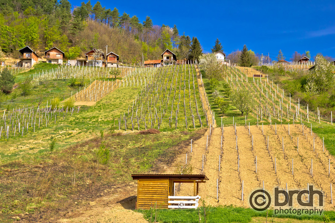 Canon EF 16-35mm F4L IS USM sample photo. Idyllic mountain vineyards village of prigorec photography