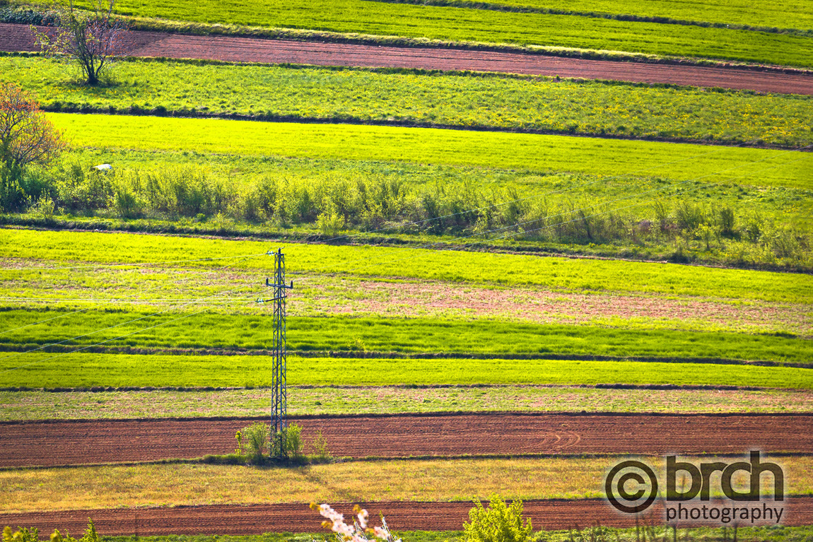 Canon EF 70-300mm F4-5.6L IS USM sample photo. Agricultural horizontal layers green view photography