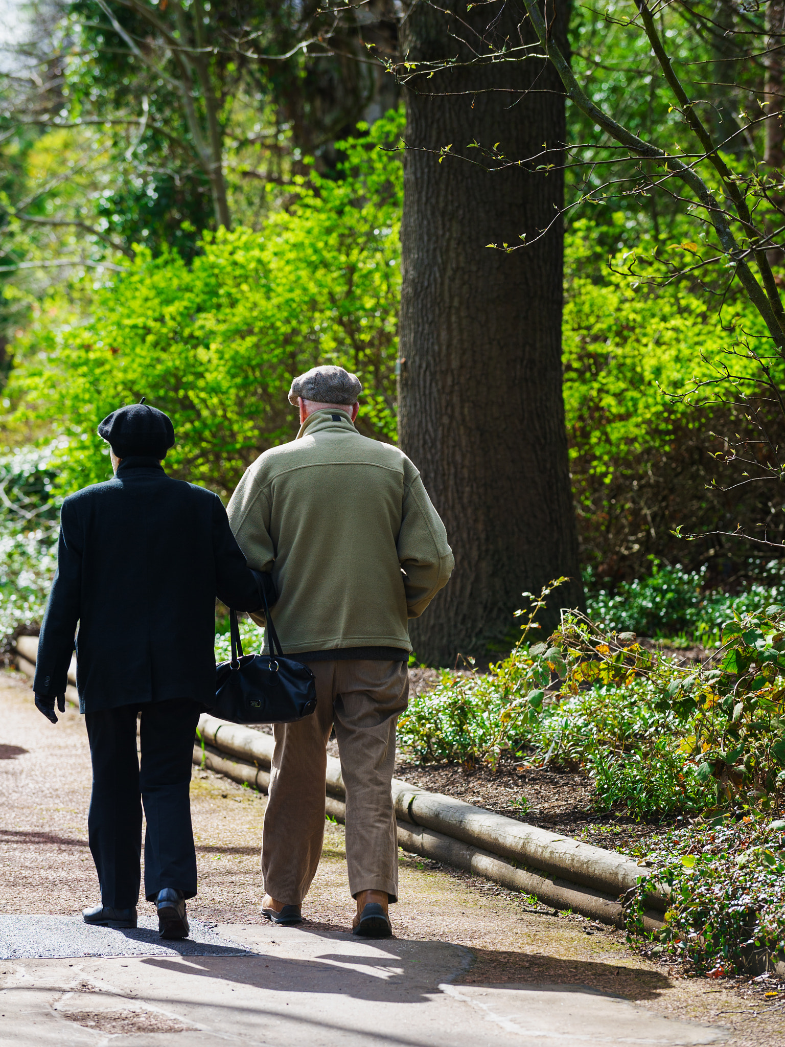 Nikon D3S + Nikon AF-S Nikkor 70-200mm F2.8G ED VR sample photo. Vertical color image of a senior couple taking a walk in a park photography