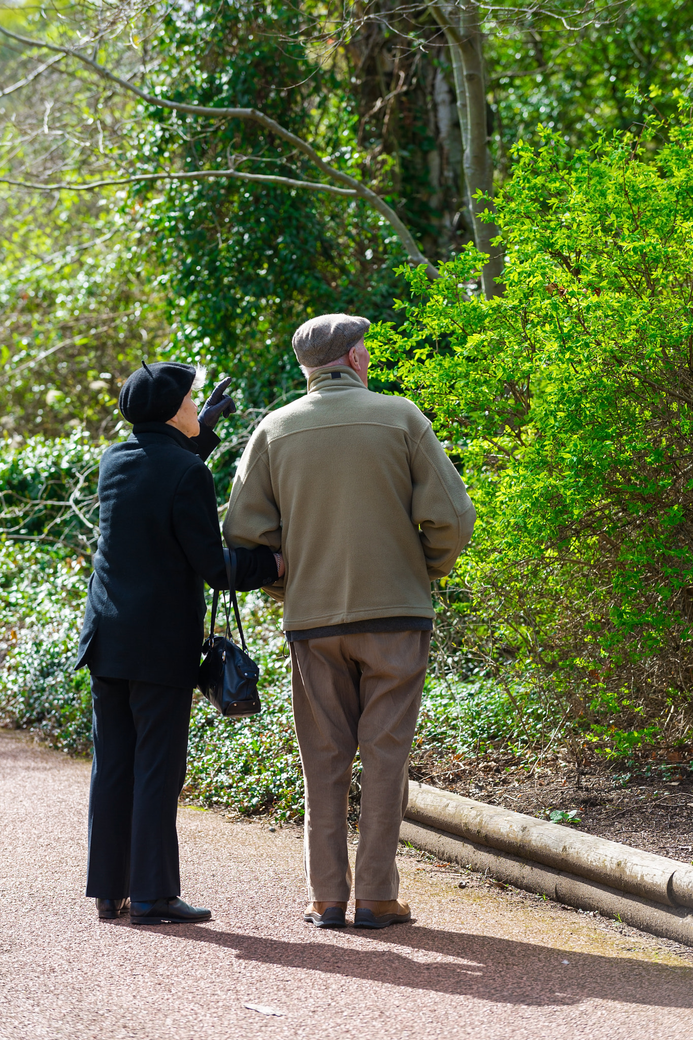 Nikon D3S sample photo. Vertical color image of a senior couple taking a walk in a park photography