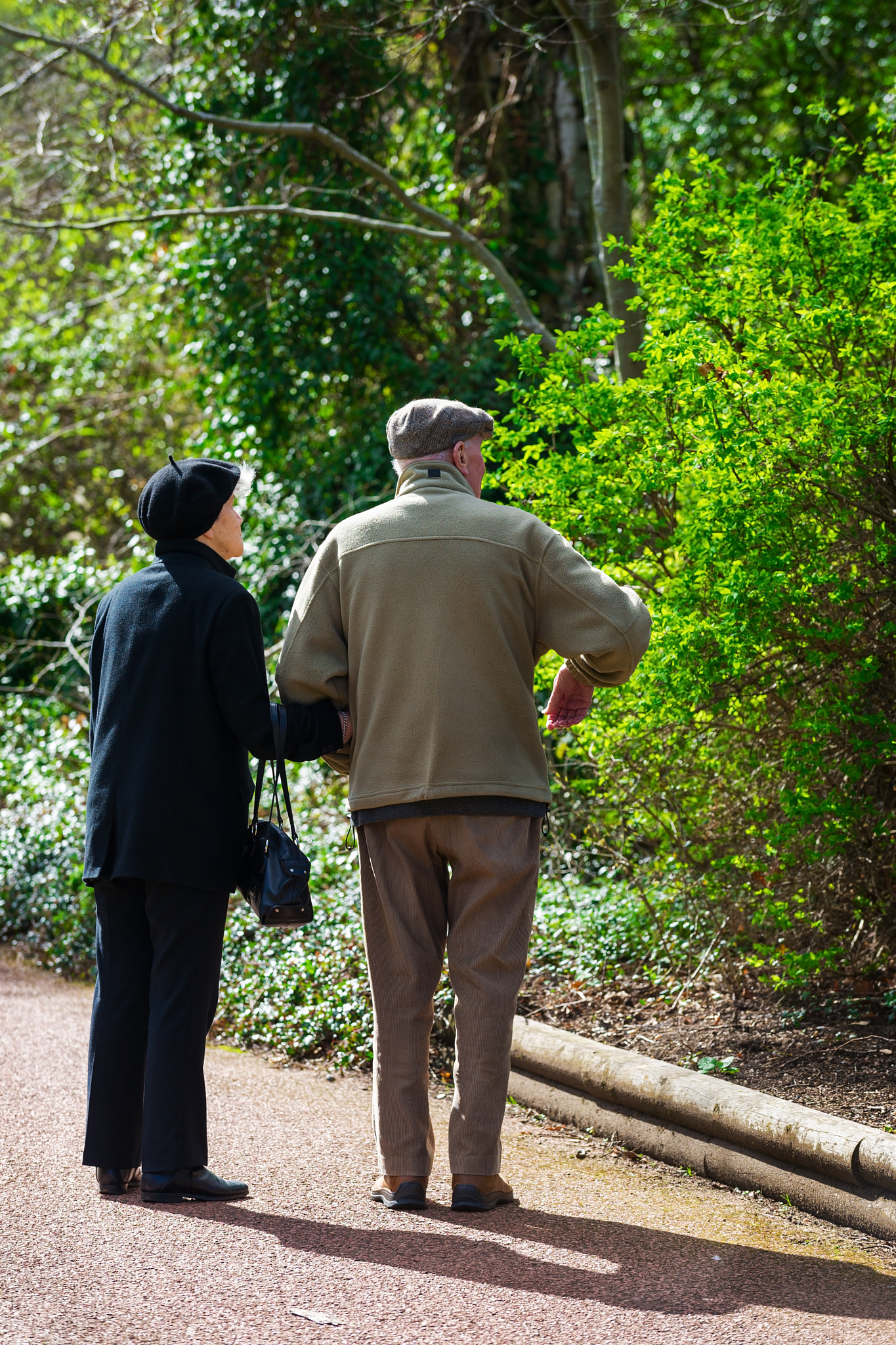 Nikon D3S sample photo. Vertical color image of a senior couple taking a walk in a park photography