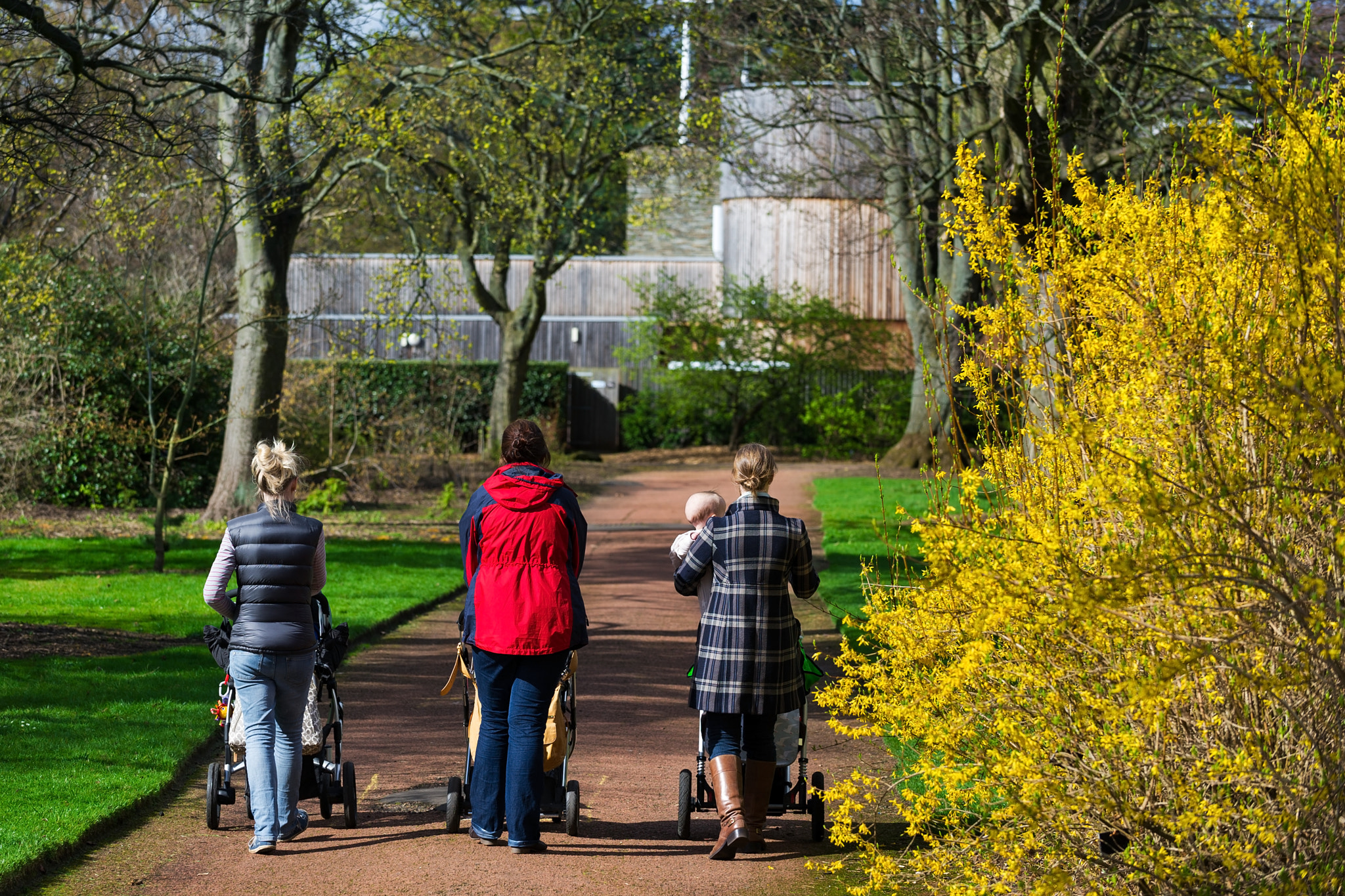 Nikon D3S sample photo. Horizontal color image of 3 female friends taking a walk in a pa photography