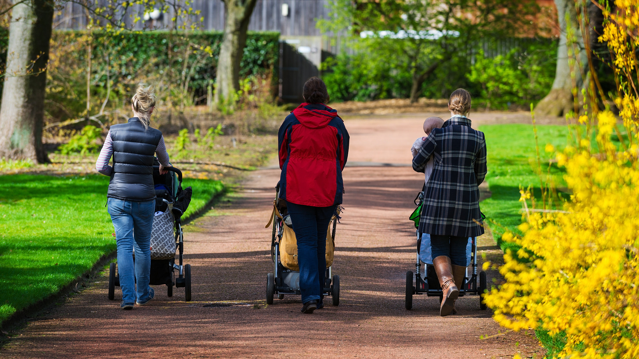 Nikon D3S sample photo. Horizontal color image of 3 female friends taking a walk in a pa photography