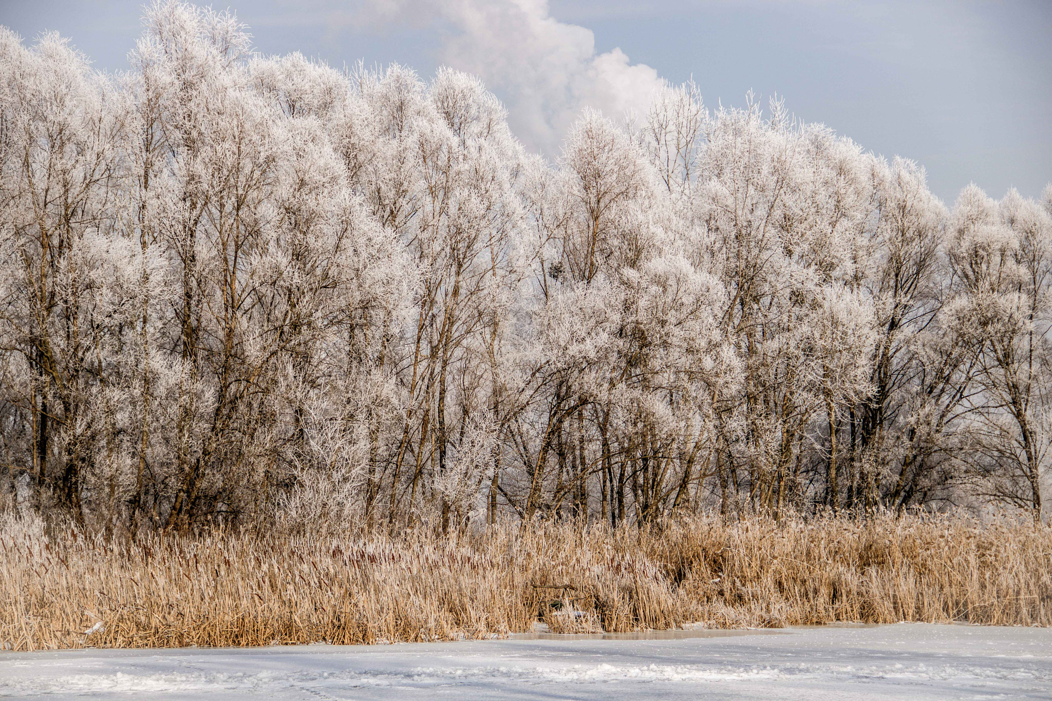 Canon EOS 760D (EOS Rebel T6s / EOS 8000D) sample photo. Beautiful winter photography