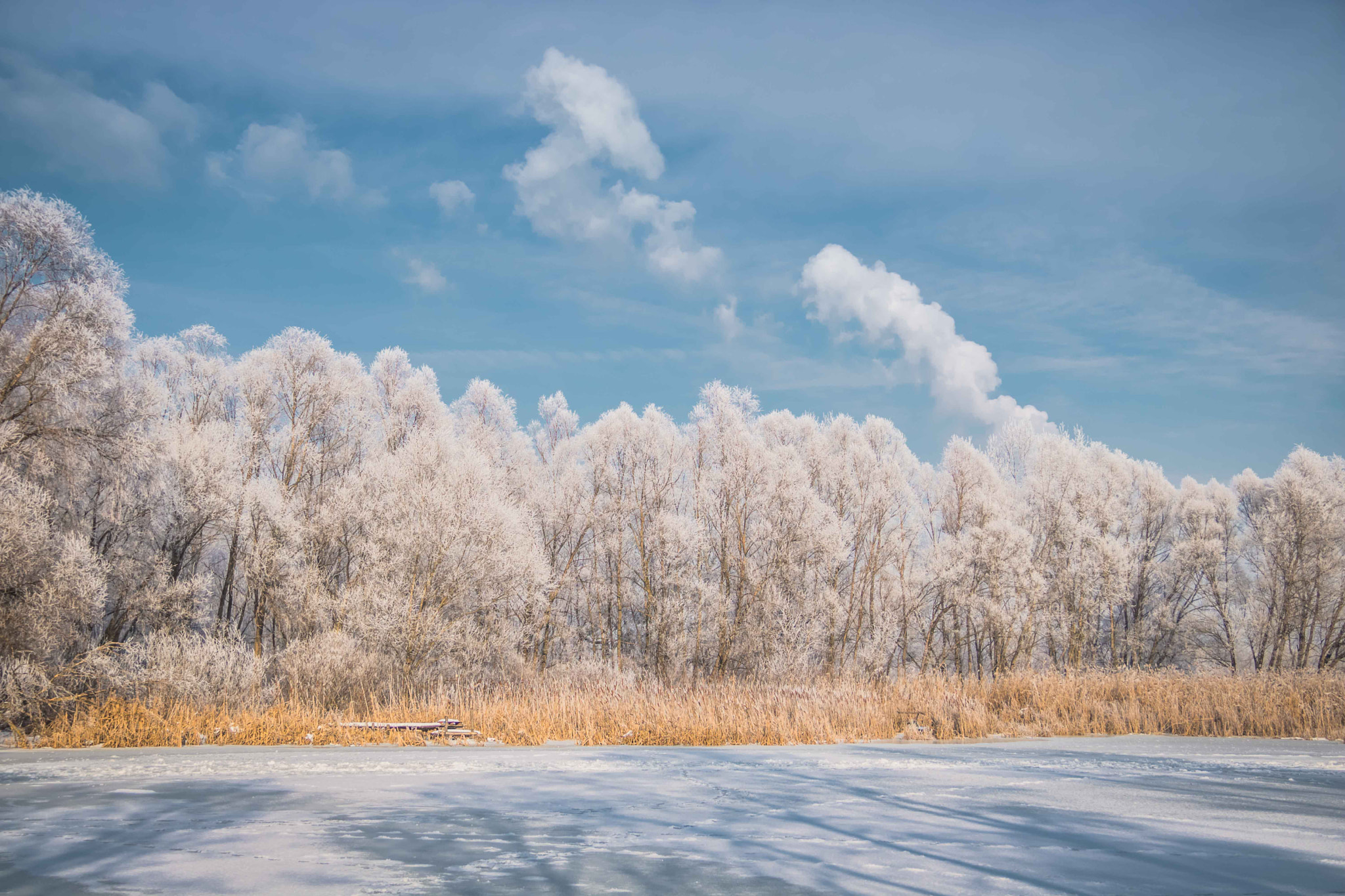 Canon EOS 760D (EOS Rebel T6s / EOS 8000D) sample photo. Beautiful winter photography