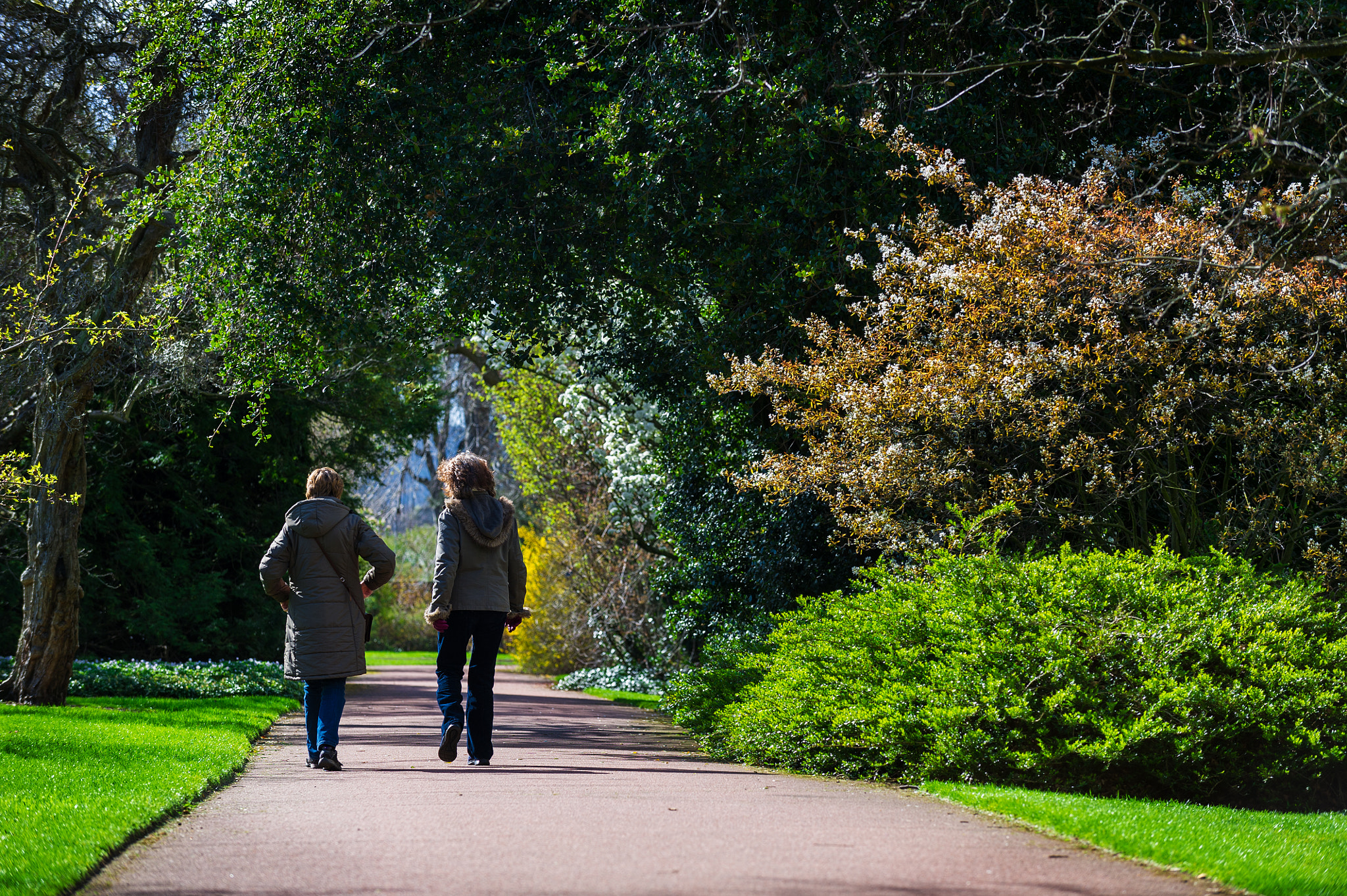 Nikon D3S sample photo. Horizontal colour image of 2 female friends taking a walk in par photography