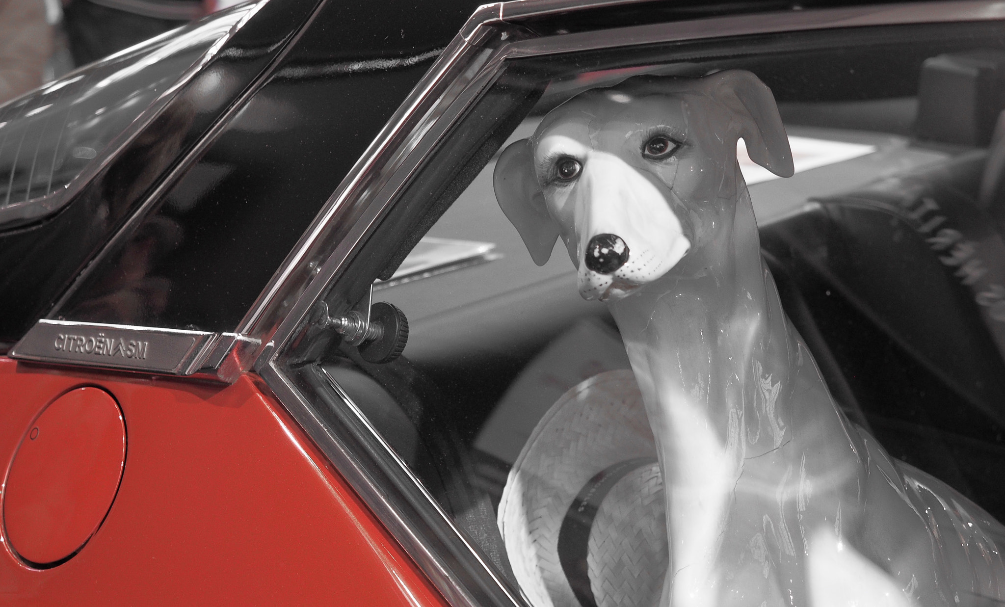 Olympus M.Zuiko Digital ED 12-40mm F2.8 Pro sample photo. Dog in a red car photography