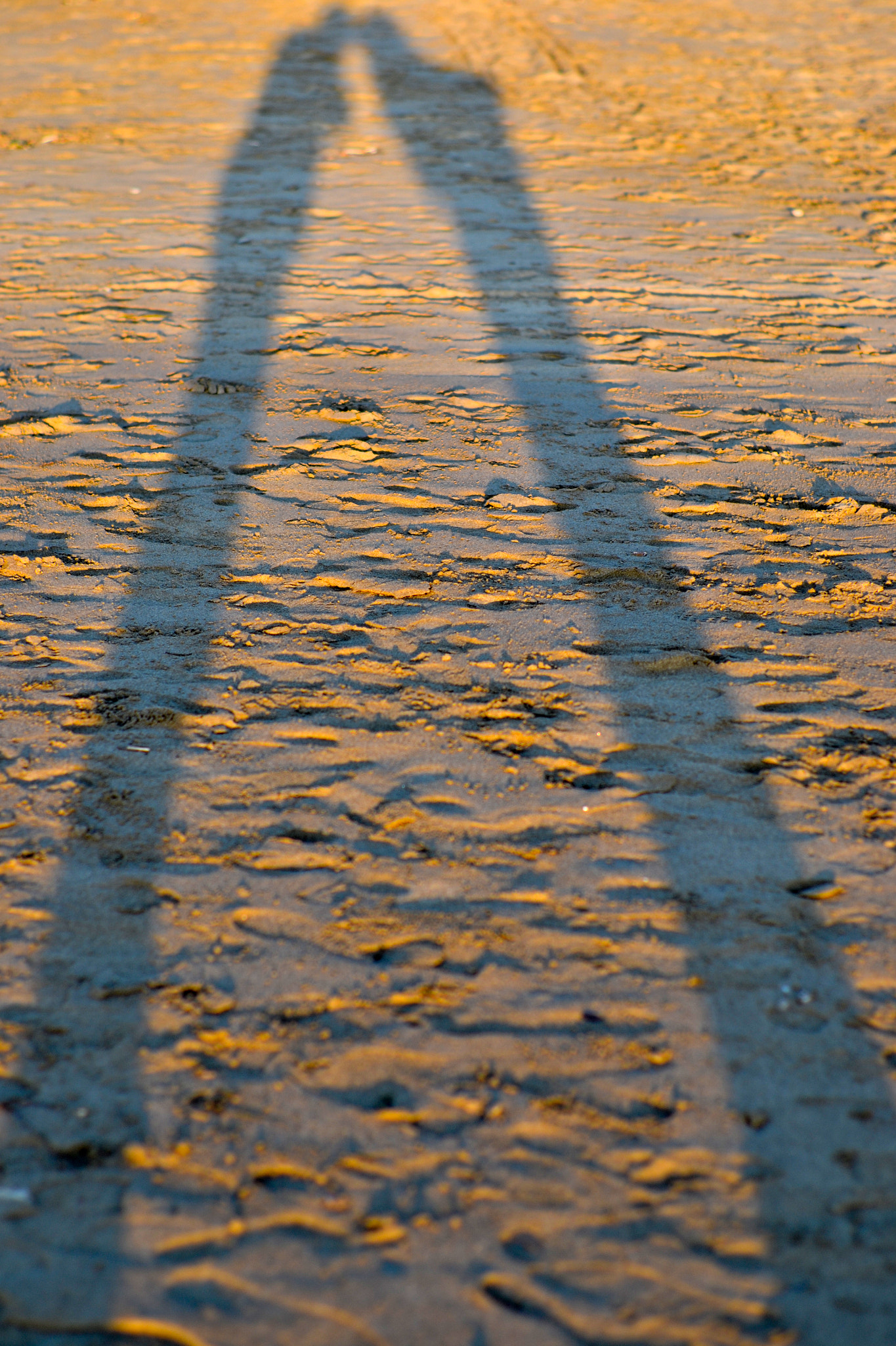 Nikon D3100 + Nikon AF-S Nikkor 50mm F1.4G sample photo. L'ombra di un bacio photography