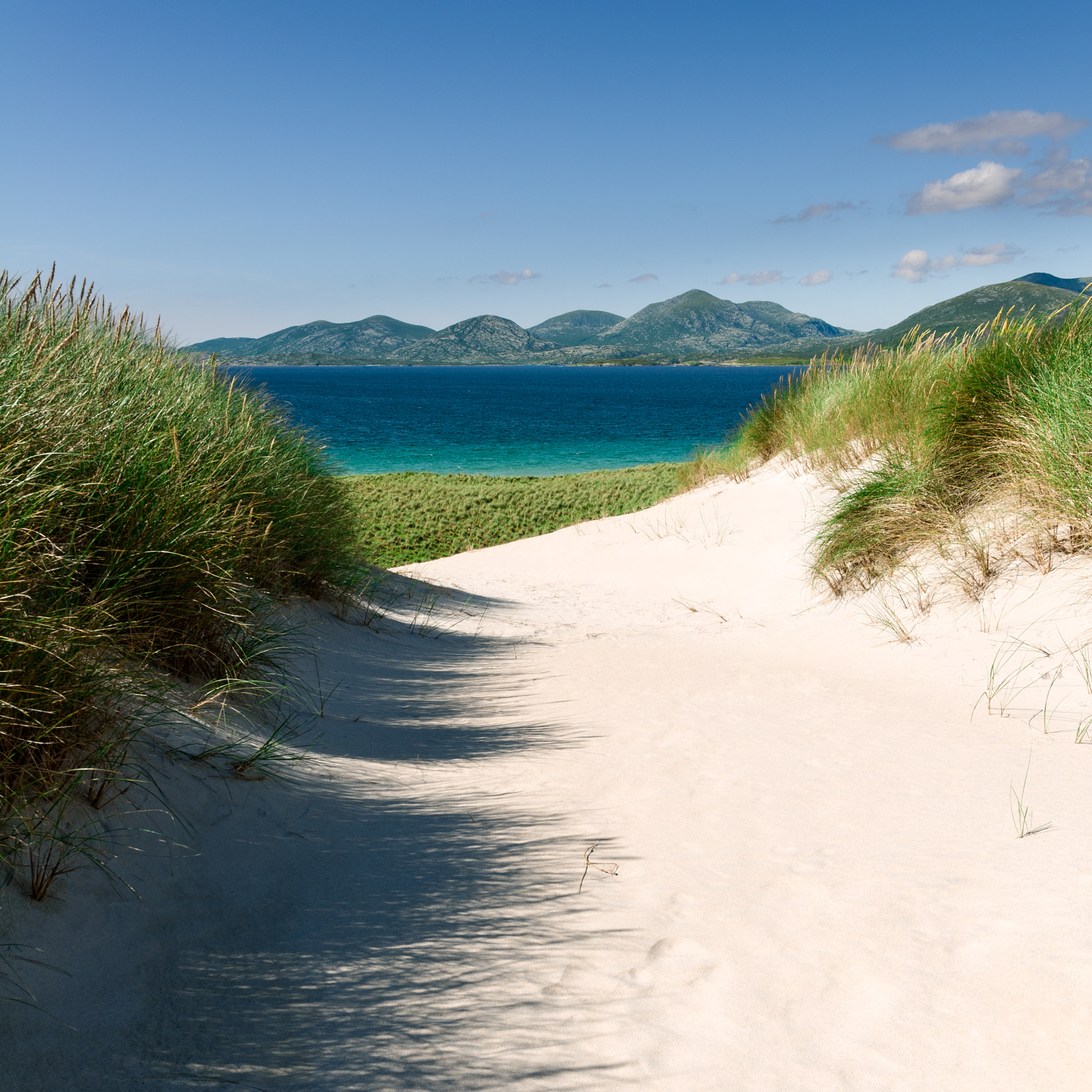 Nikon D3S sample photo. Sunny beach with sand dunes, tall grass and blue sky photography