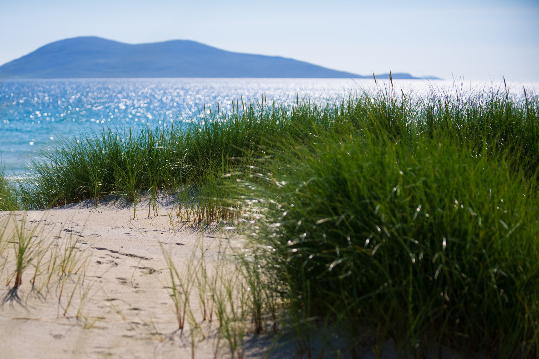 Nikon D3S sample photo. Sunny beach with sand dunes, tall grass and blue sky photography