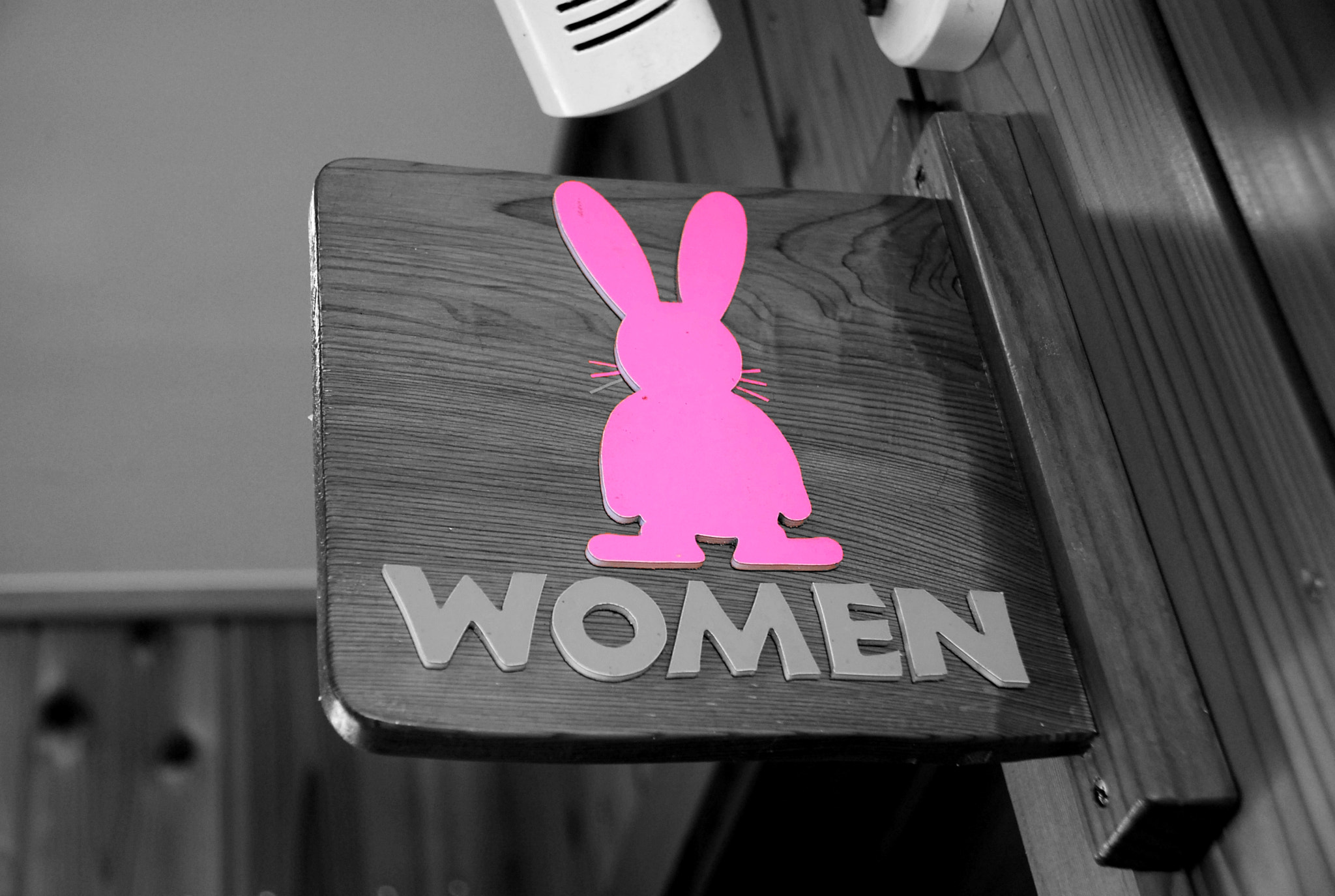 Nikon D60 sample photo. Ladies' room photography