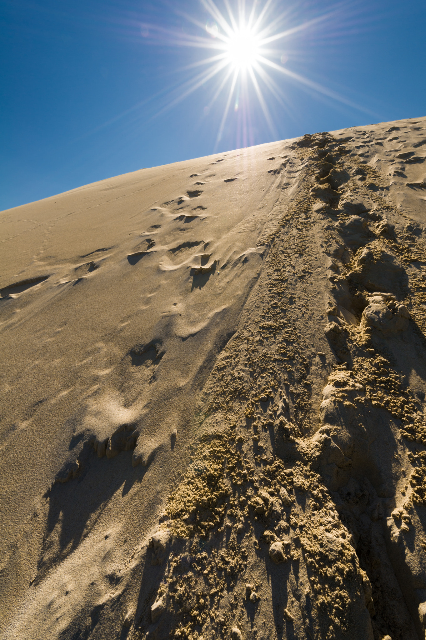Nikon D3S + Nikon AF-S Nikkor 14-24mm F2.8G ED sample photo. Footprints in sand dunes, sahara, morroco photography