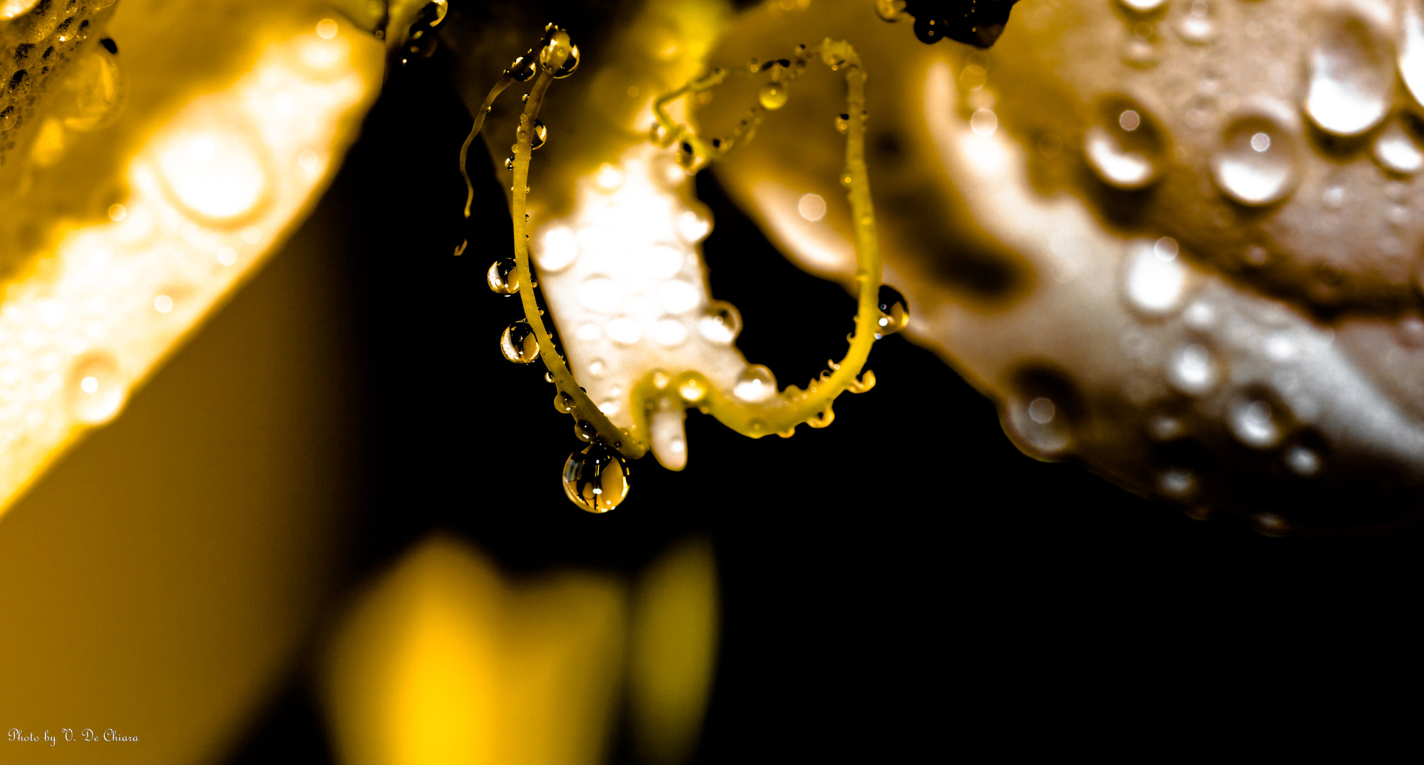 Canon EOS 5DS sample photo. Tenebroso photography