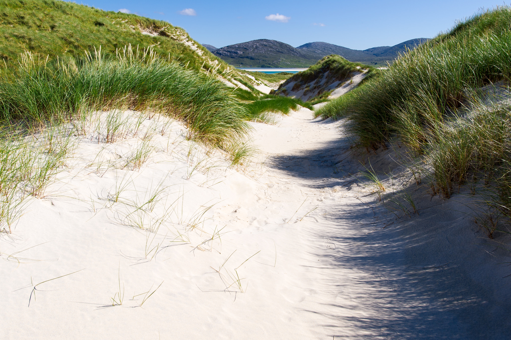 Nikon D3S sample photo. Sunny beach with sand dunes, tall grass and blue sky photography