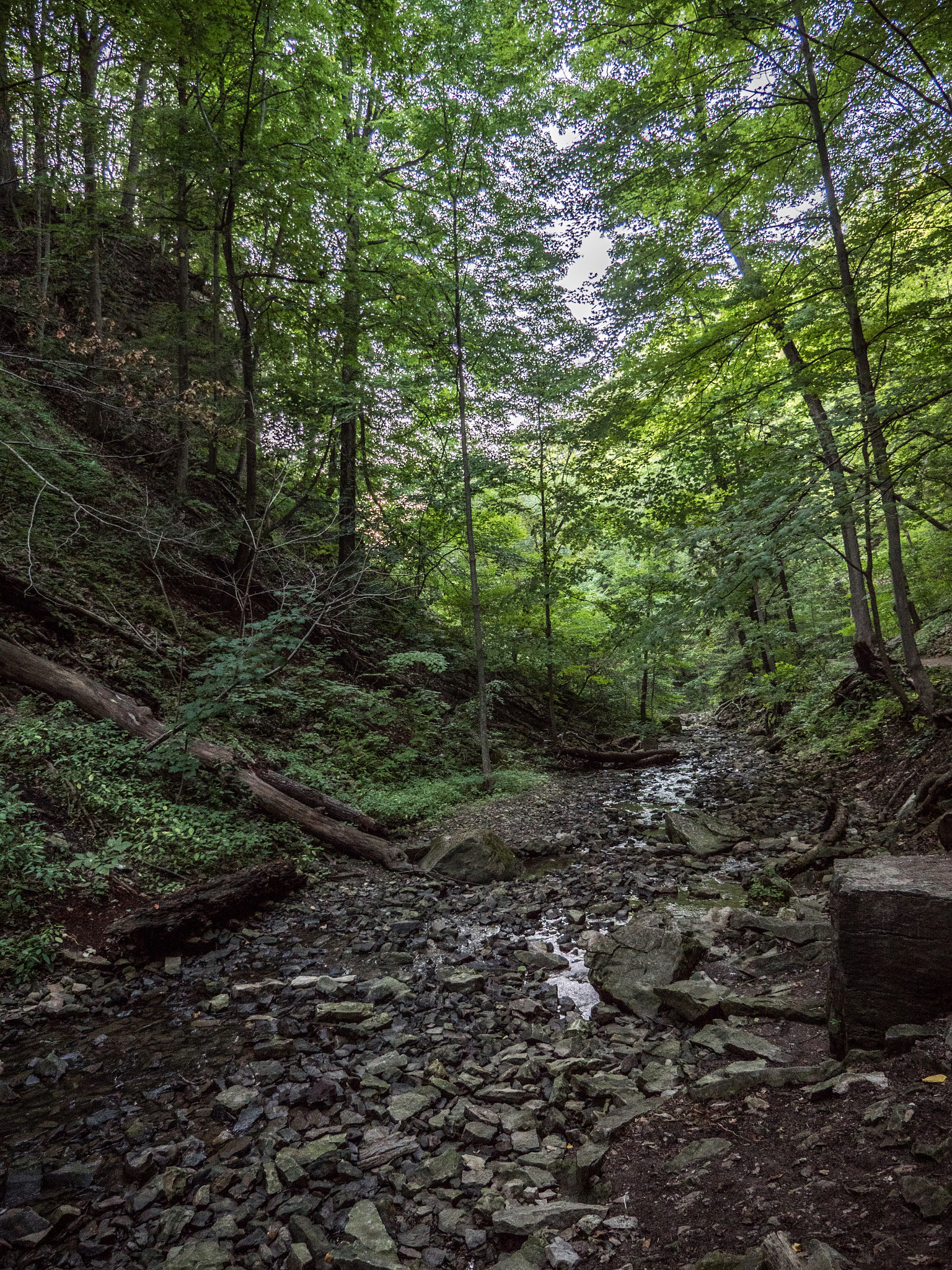 Panasonic Lumix G X Vario 12-35mm F2.8 ASPH Power OIS sample photo. Canada adventure photography