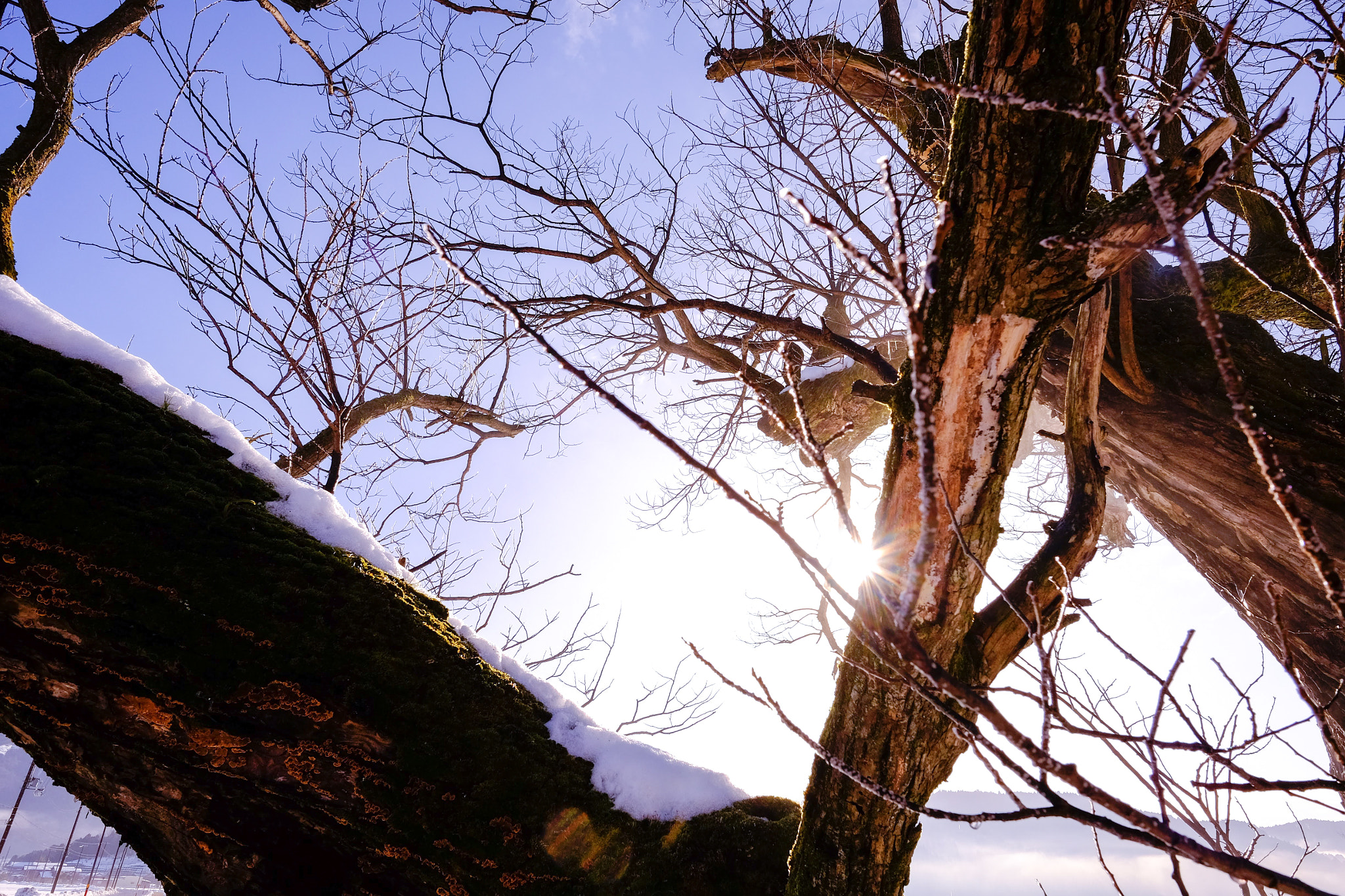 Fujifilm X-T10 + Fujifilm XF 14mm F2.8 R sample photo. Lake yogo, shiga, japan photography