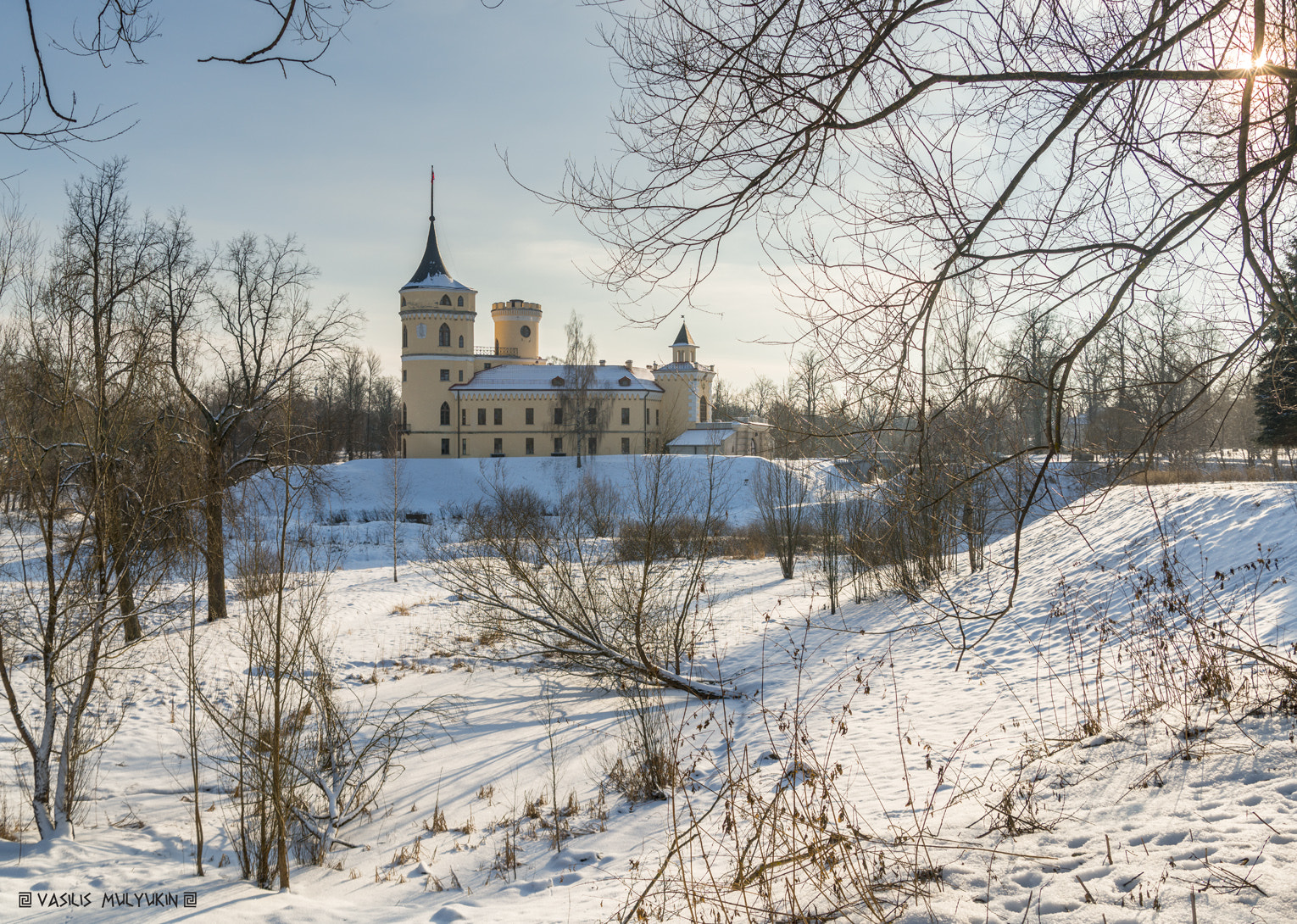 Sony a99 II sample photo. замок БИП, парк Мариенталь photography