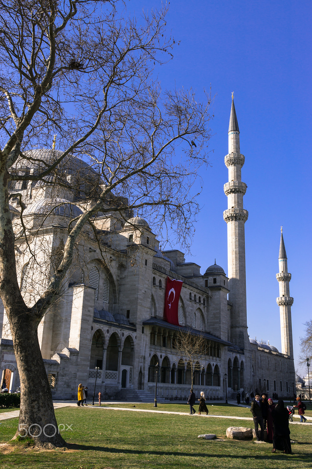 Sony Sonnar T* E 24mm F1.8 ZA sample photo. Suleymaniye mosque photography