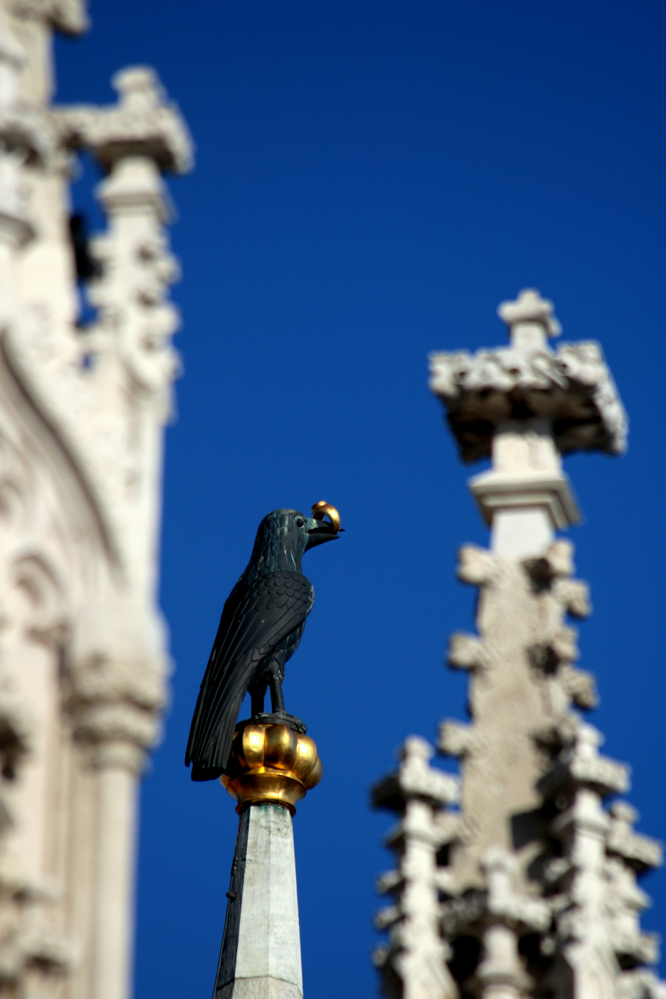 Canon EF 70-300mm F4-5.6 IS USM sample photo. Raven with golden ring photography