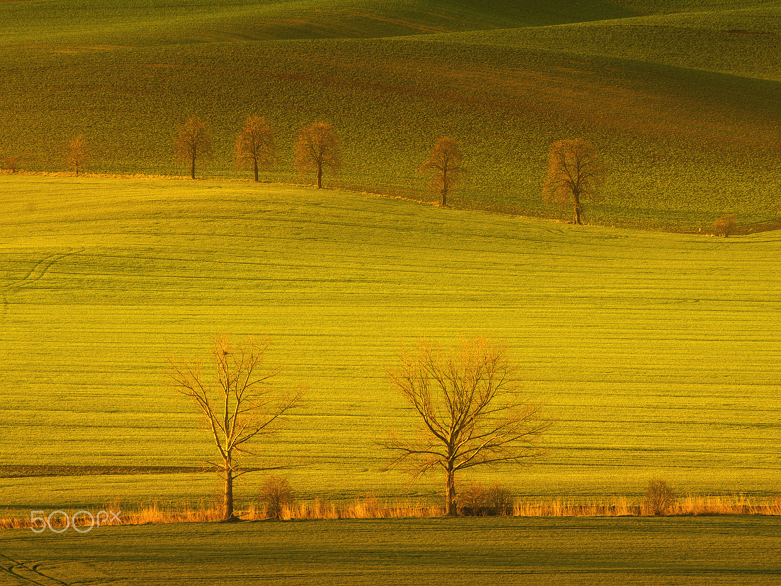 HD Pentax DA 55-300mm F4.0-5.8 ED WR sample photo. The smell of spring photography