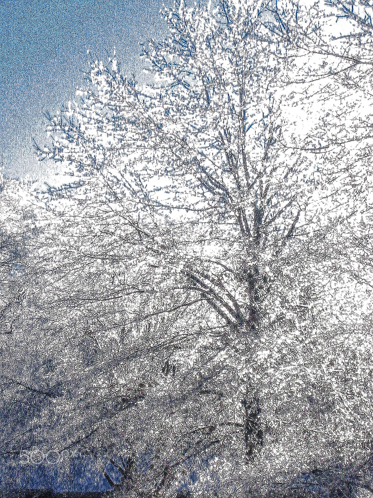 Canon POWERSHOT SD110 sample photo. An ice storm hit iowa in the winter 2007 2008 #3 photography