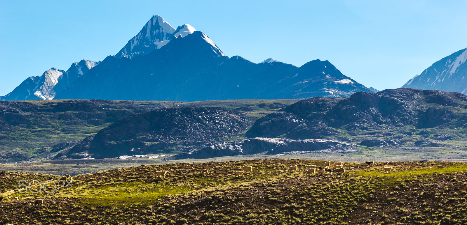 Nikon D3200 sample photo. In shadow of mountains.. photography