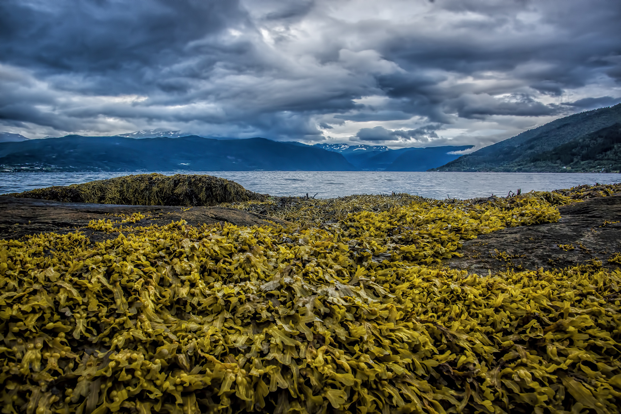 Sony SLT-A65 (SLT-A65V) sample photo. Balestrand blue hour photography