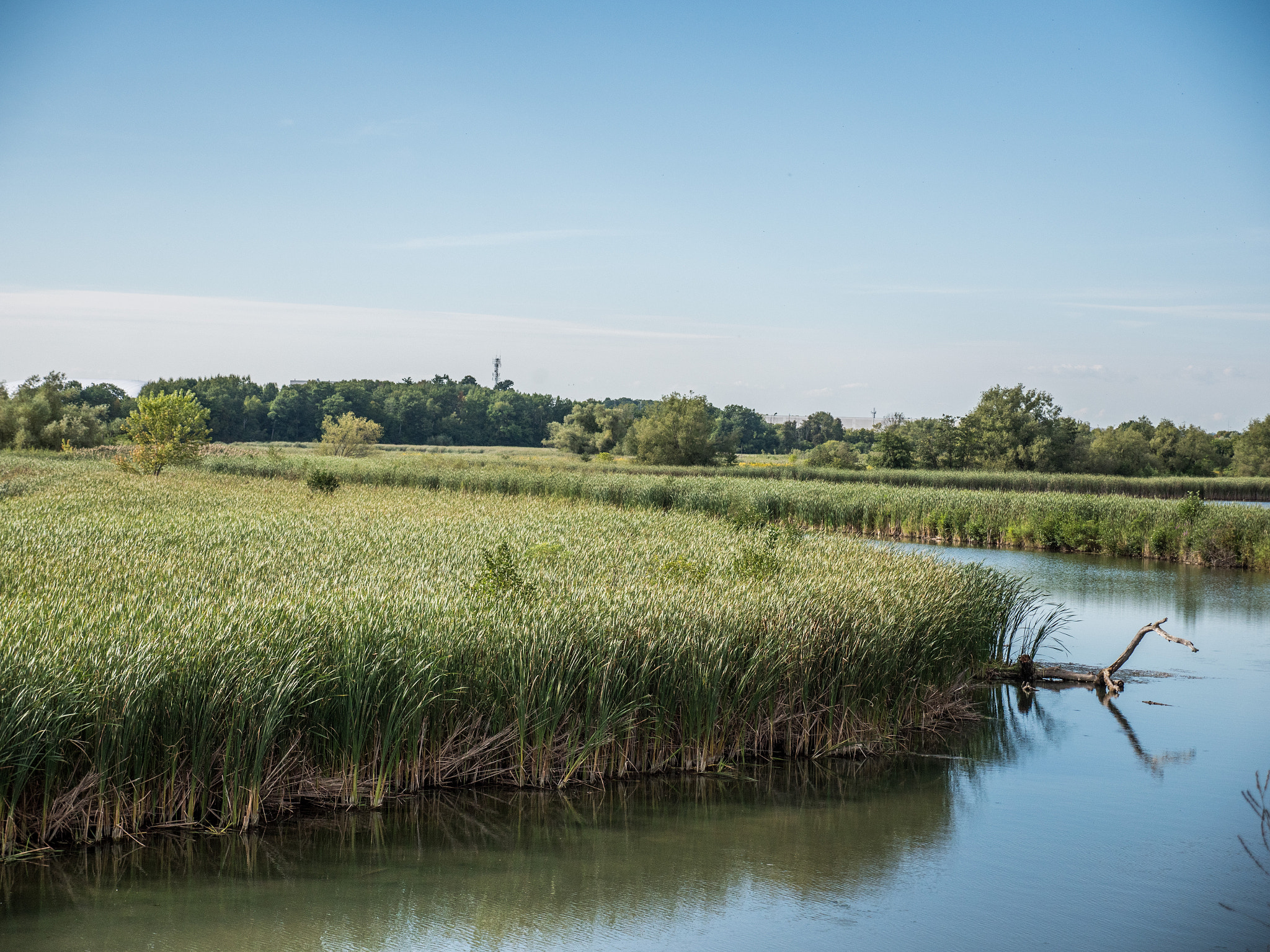 Panasonic Lumix G X Vario 12-35mm F2.8 ASPH Power OIS sample photo. Canada adventure photography