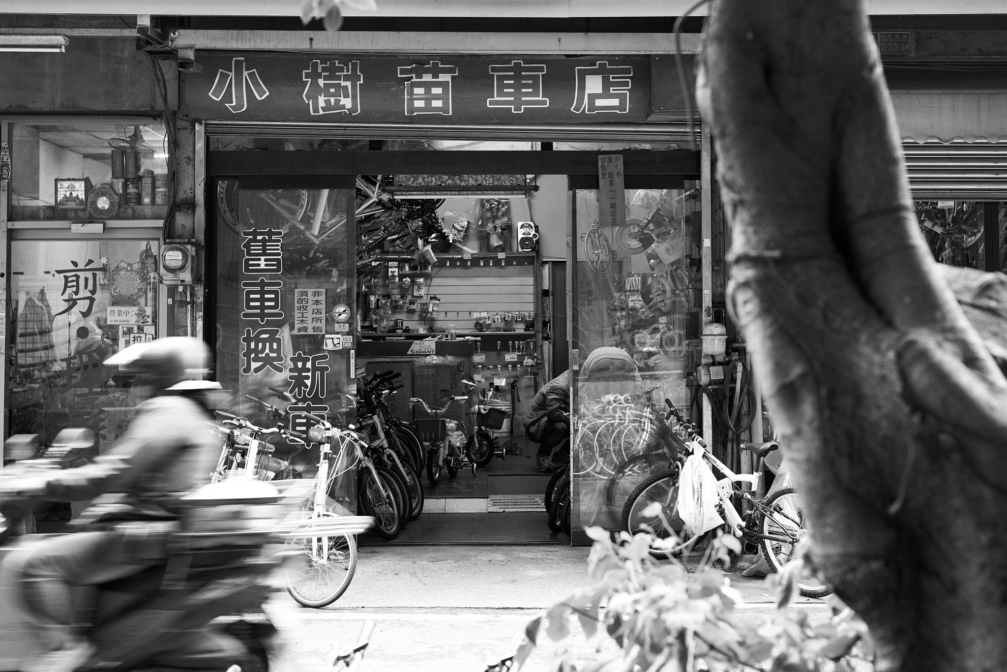 ZEISS Loxia 50mm F2 sample photo. 31990729313.jpg photography