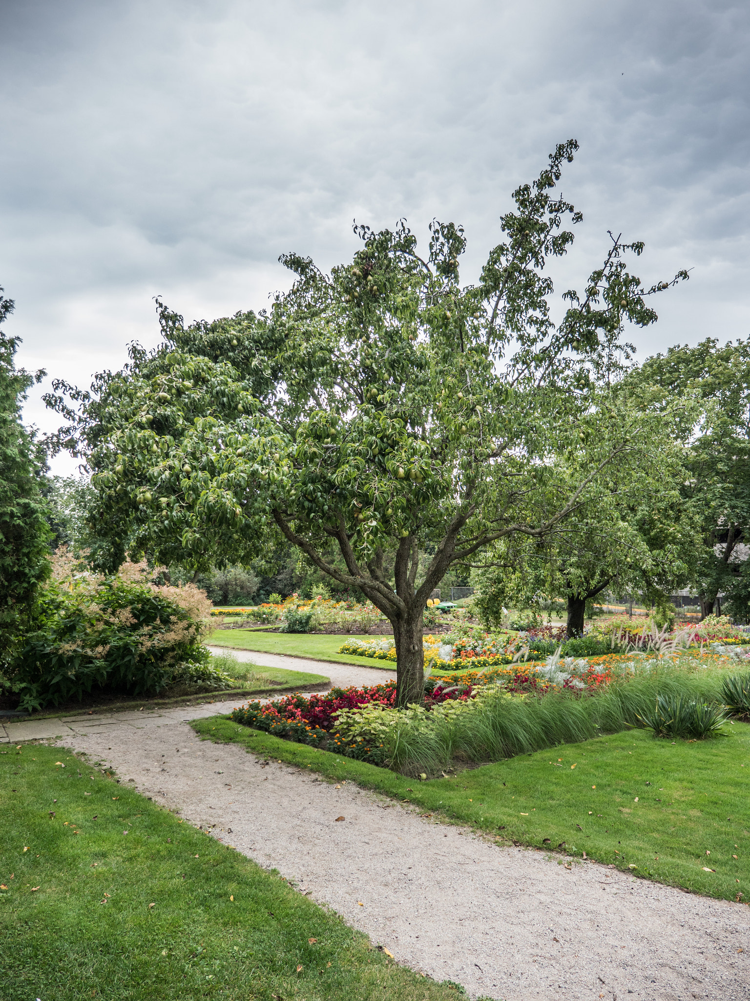 Panasonic Lumix G X Vario 12-35mm F2.8 ASPH Power OIS sample photo. Canada adventure photography