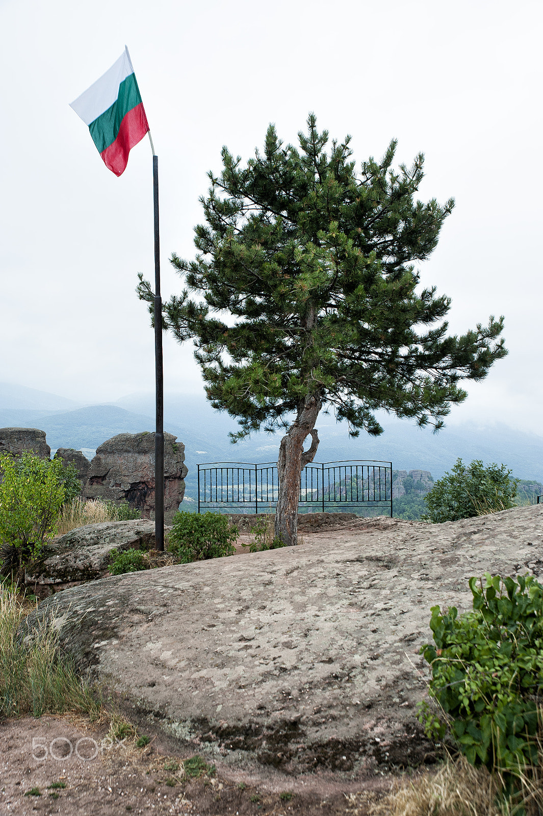 Nikon D700 sample photo. Bulgarian flag on a mast next to a tree photography