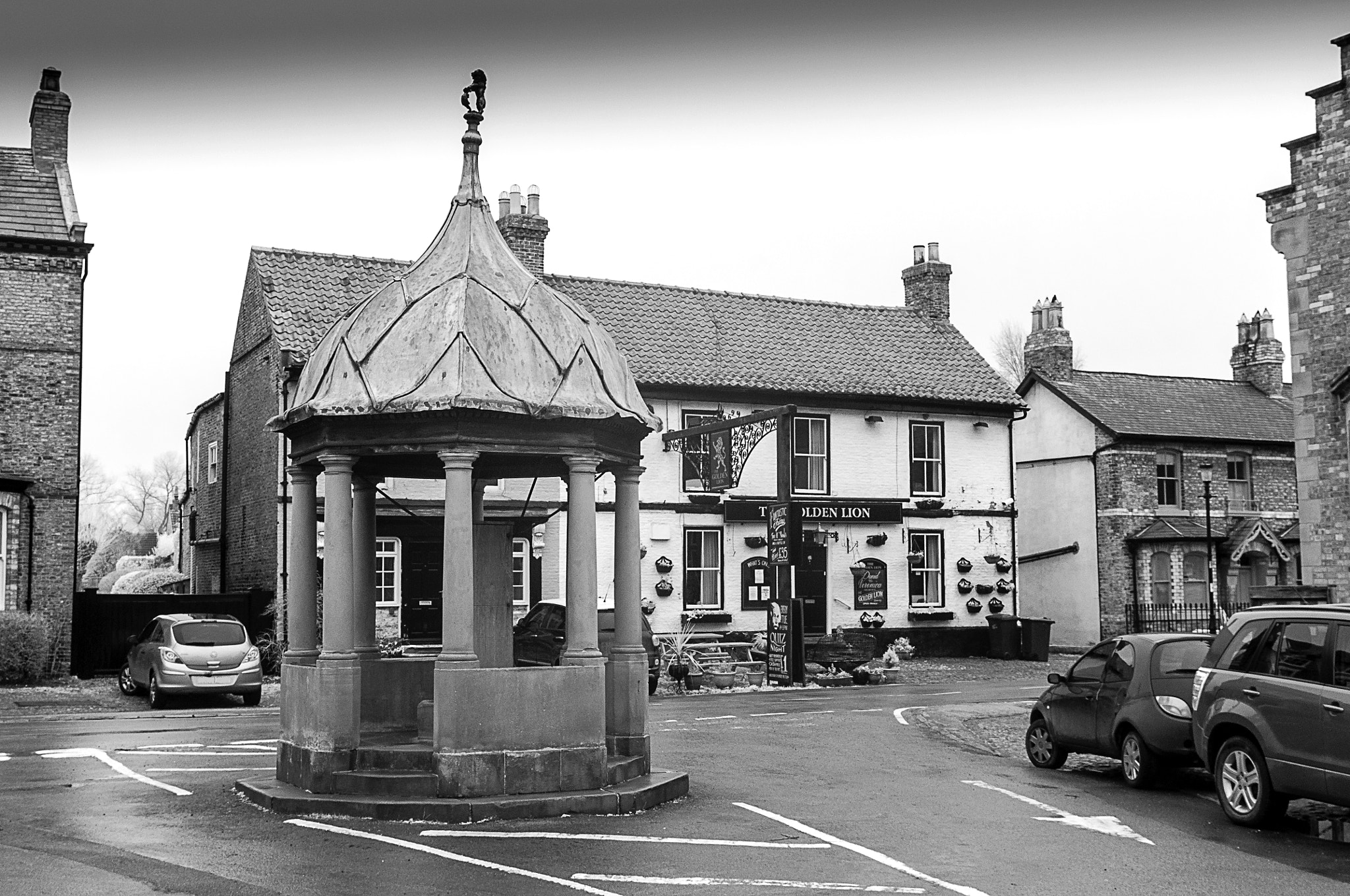 Nikon AF-S Nikkor 24-70mm F2.8G ED sample photo. The golden lion, helperby photography