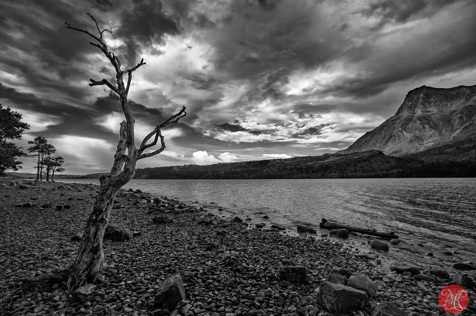 Sony Alpha NEX-6 + Sony E 10-18mm F4 OSS sample photo. Weathered photography