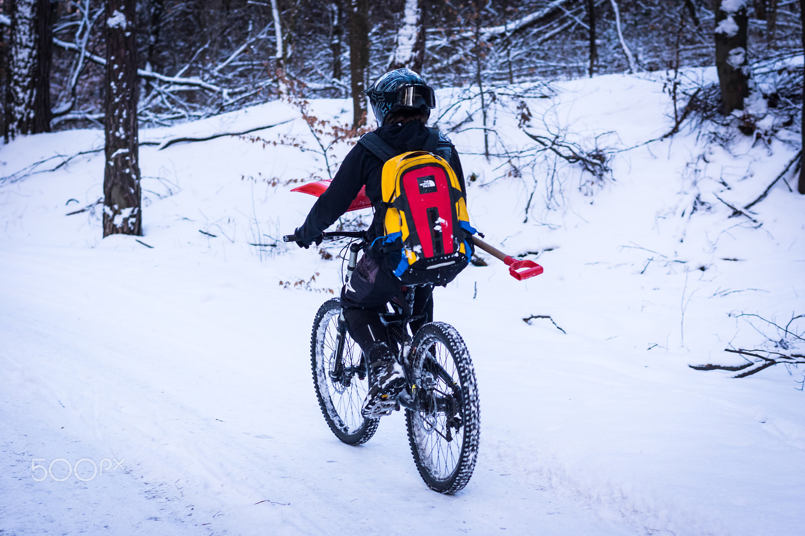 Sony SLT-A65 (SLT-A65V) + Sony 50mm F1.4 sample photo. Winter biking by srubokret photography